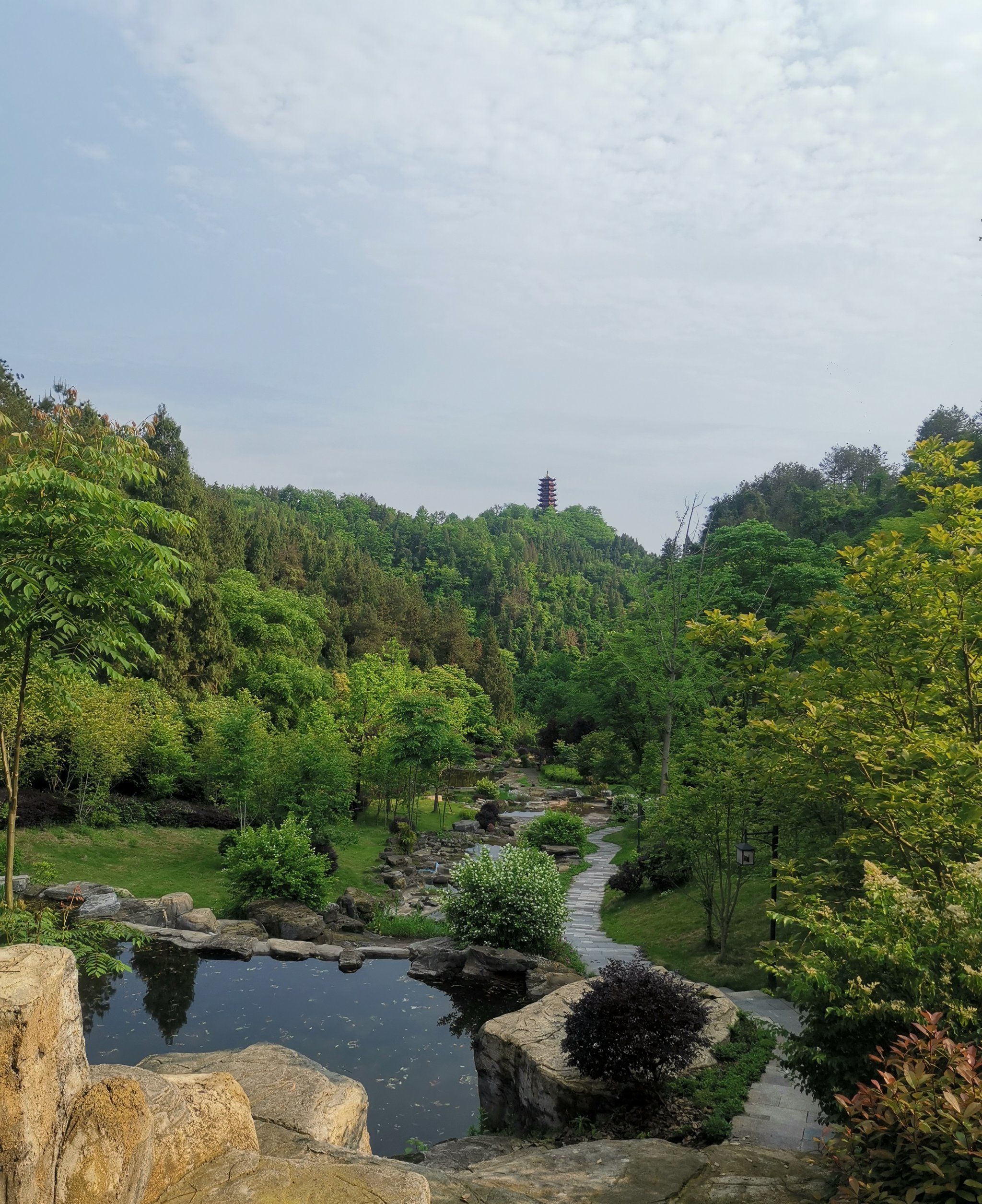 文名山长寿森林公园旅行图片 3