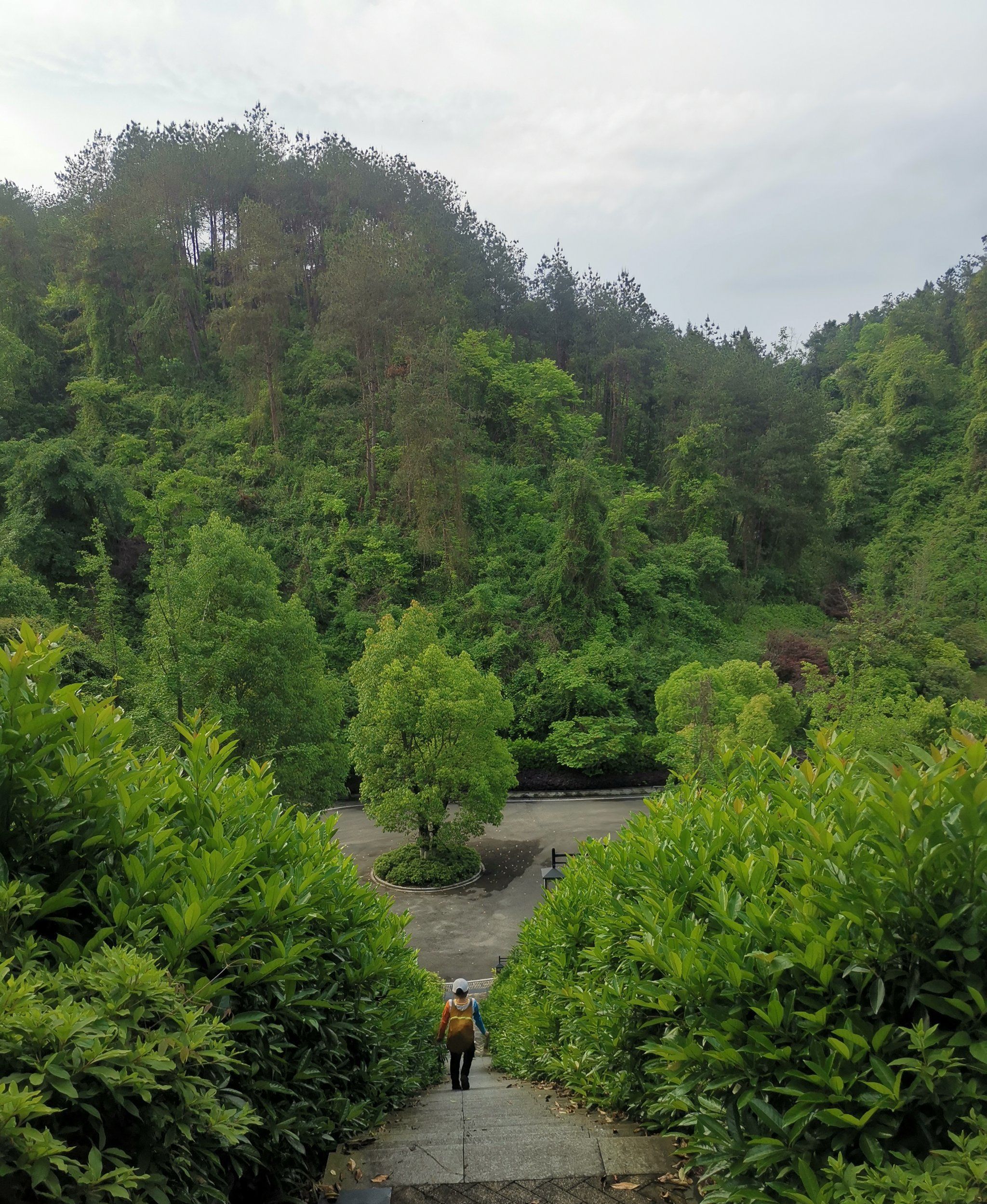 文名山长寿森林公园旅行图片 1
