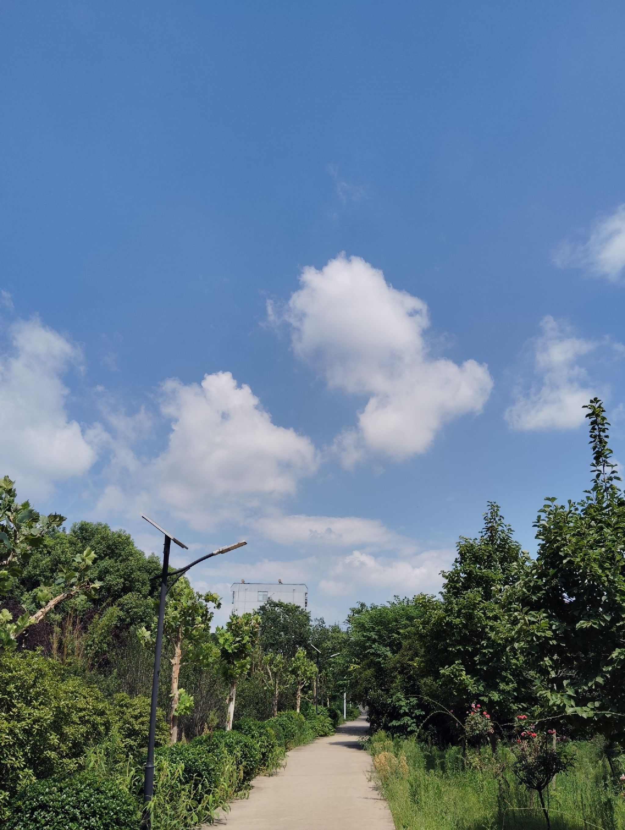 五一农场湿地公园旅行图片 1
