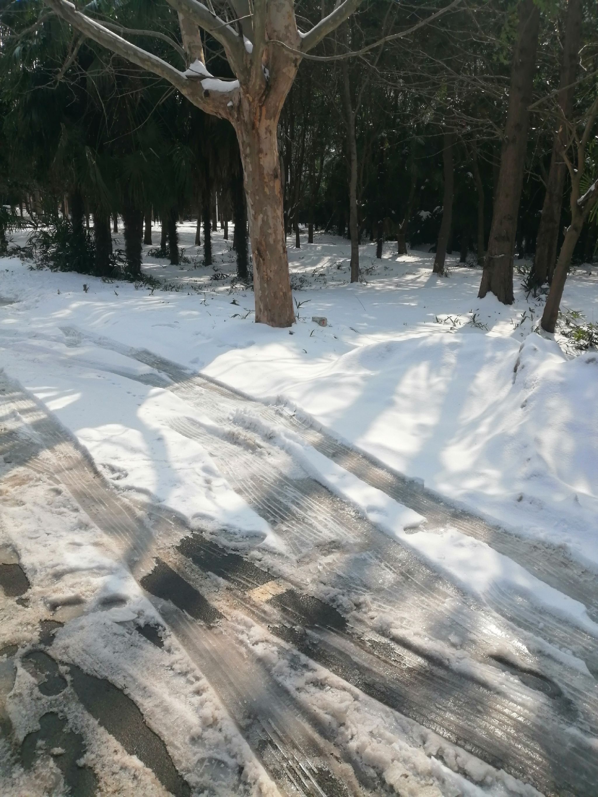 五一农场湿地公园旅行图片 2