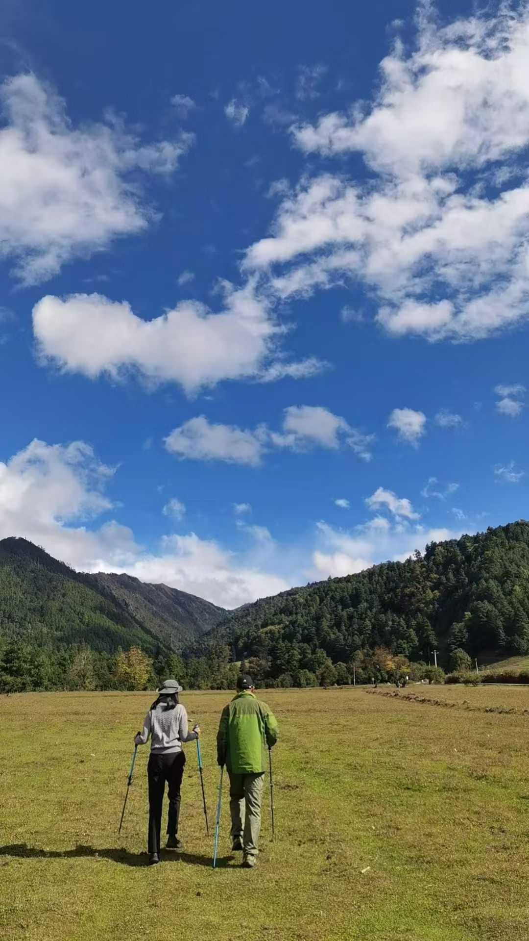 罗古箐景区
