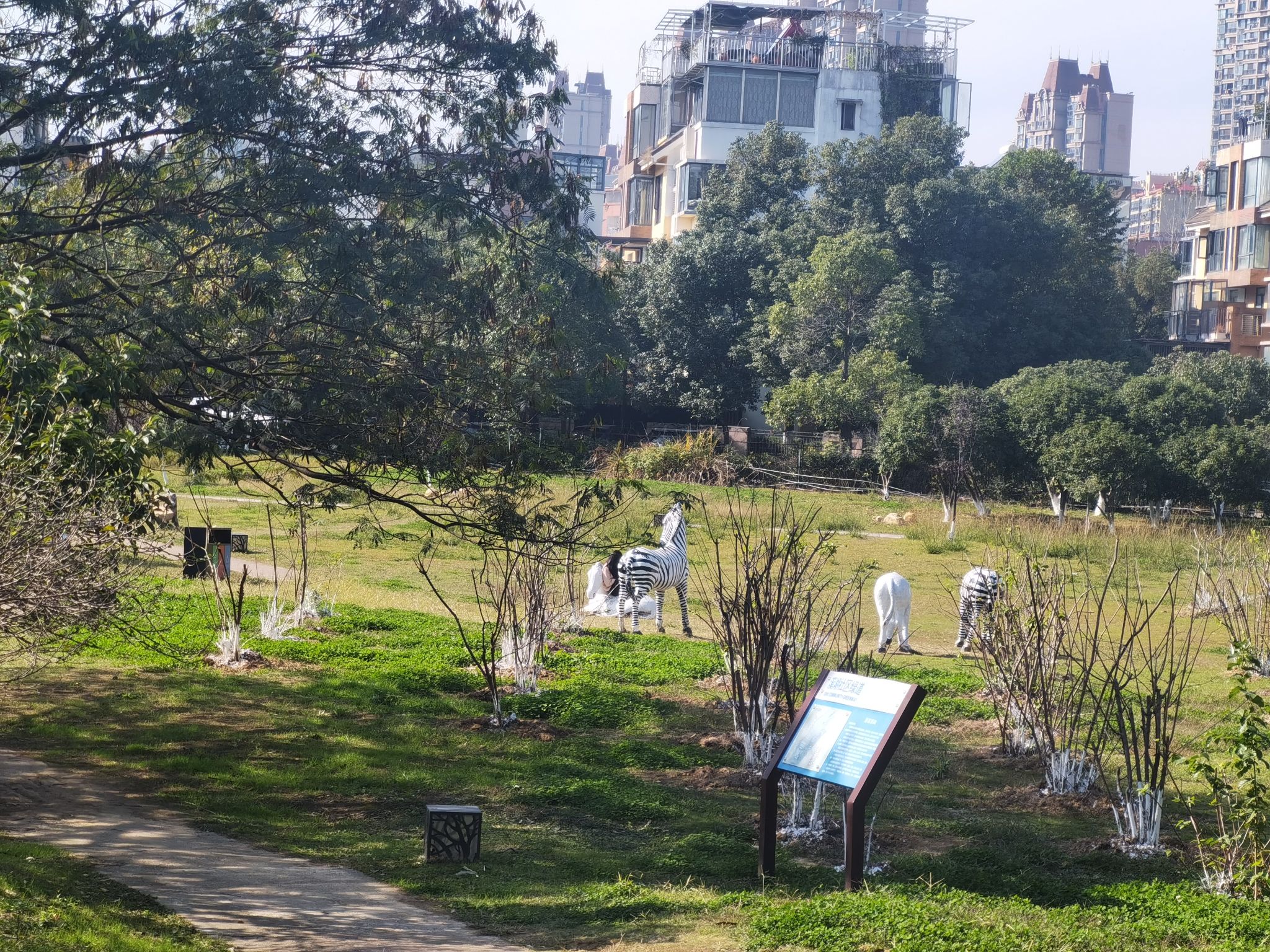 艾溪湖明德广场旅行图片 3