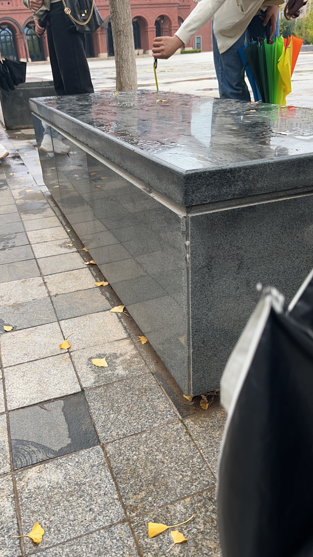 红飘带公园旅行图片 3