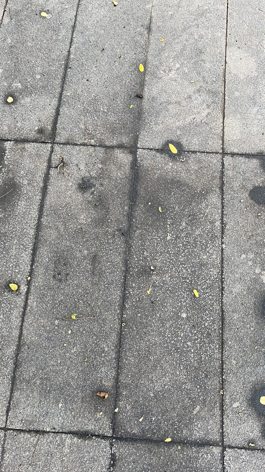 红飘带公园旅行图片 1