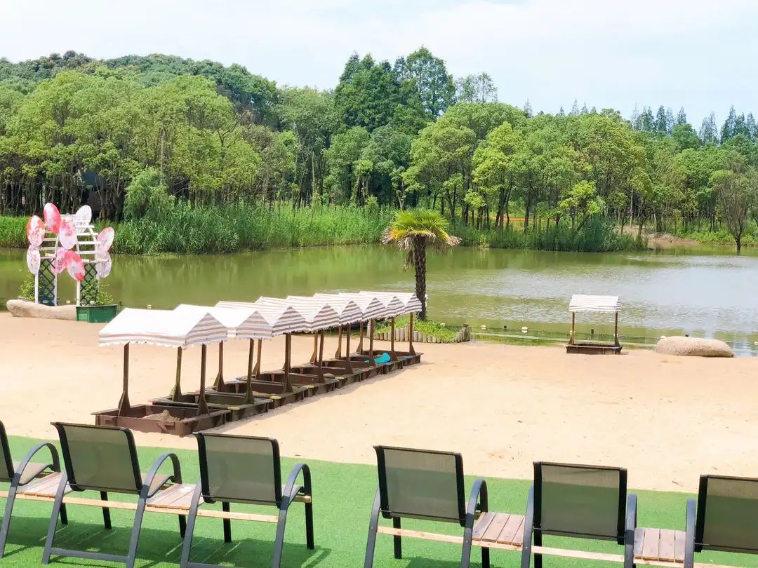 鸟屋乐园旅行图片 3