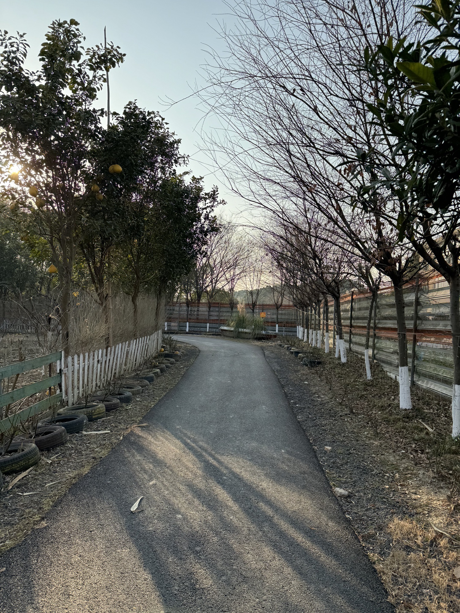 鸟屋乐园旅行图片 1