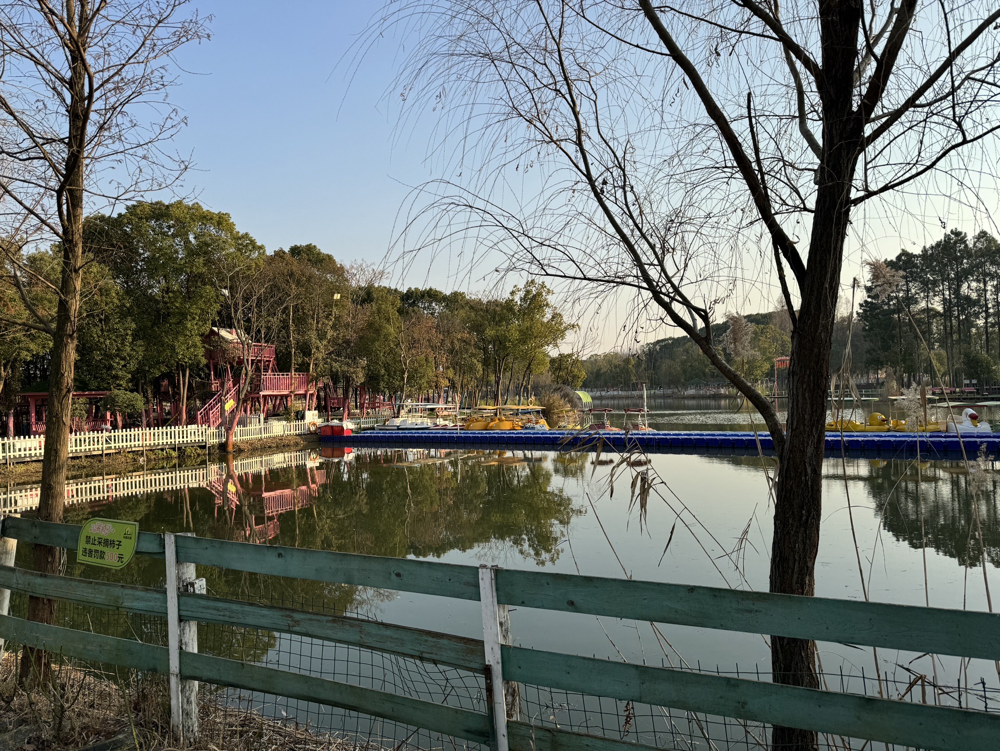 鸟屋乐园旅行图片 3