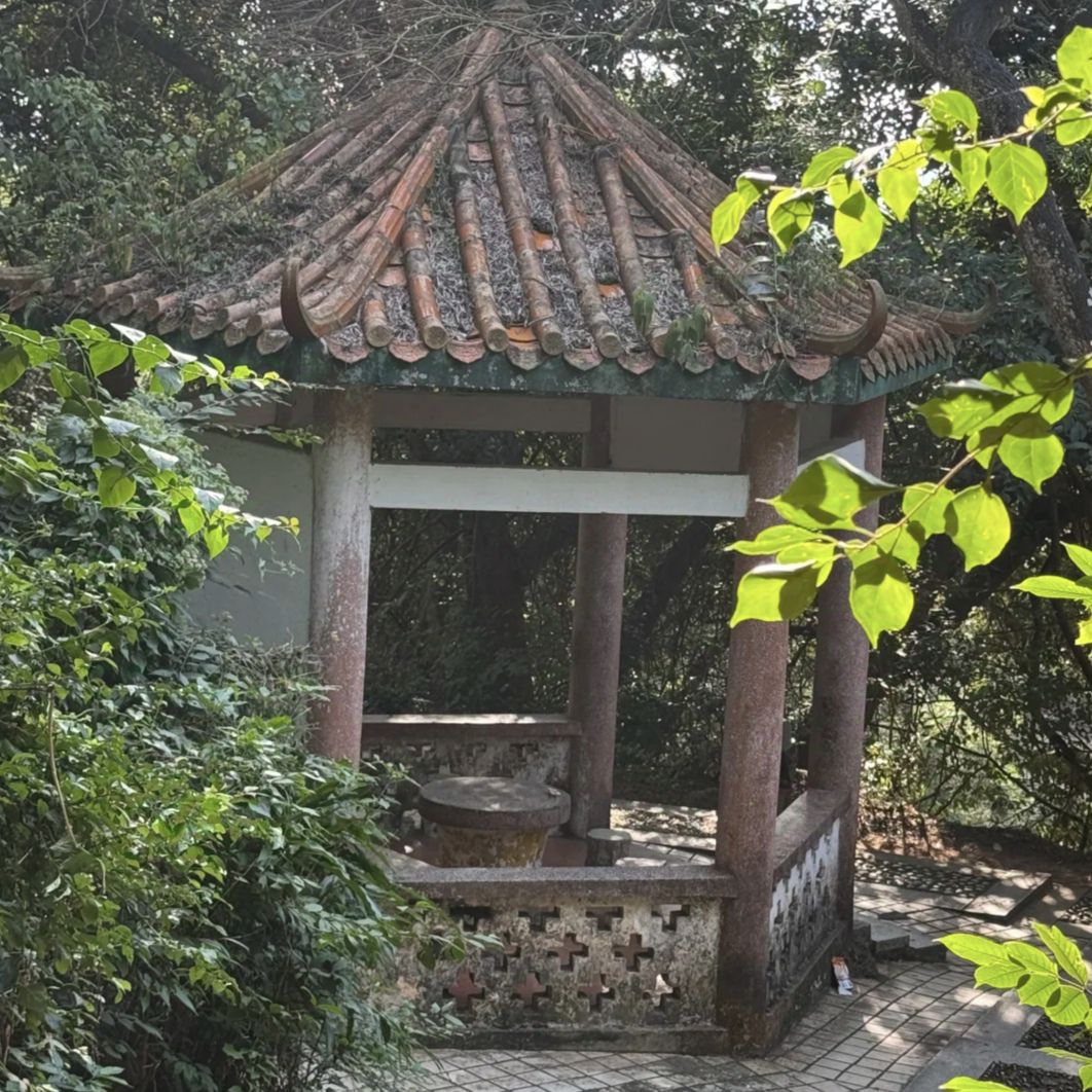 庄山休闲公园旅行图片 1