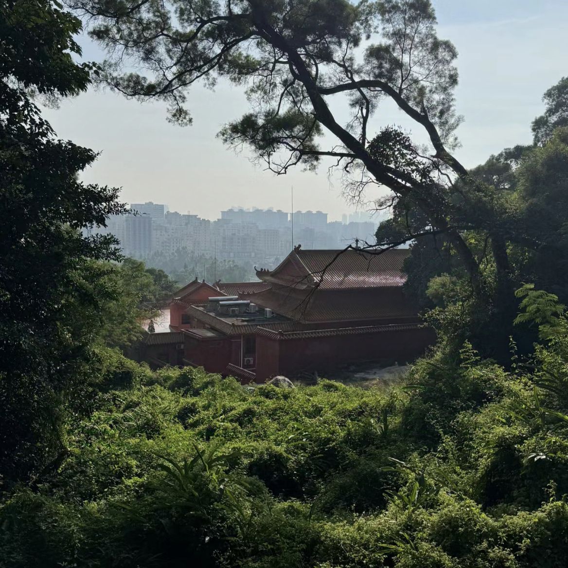 庄山休闲公园旅行图片 3