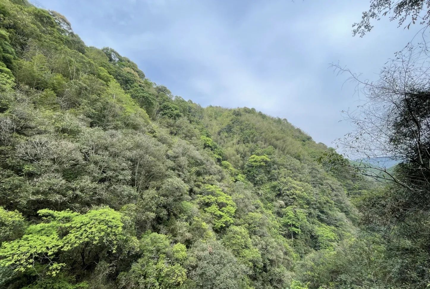 粤东大峡谷旅游景区旅行图片 1