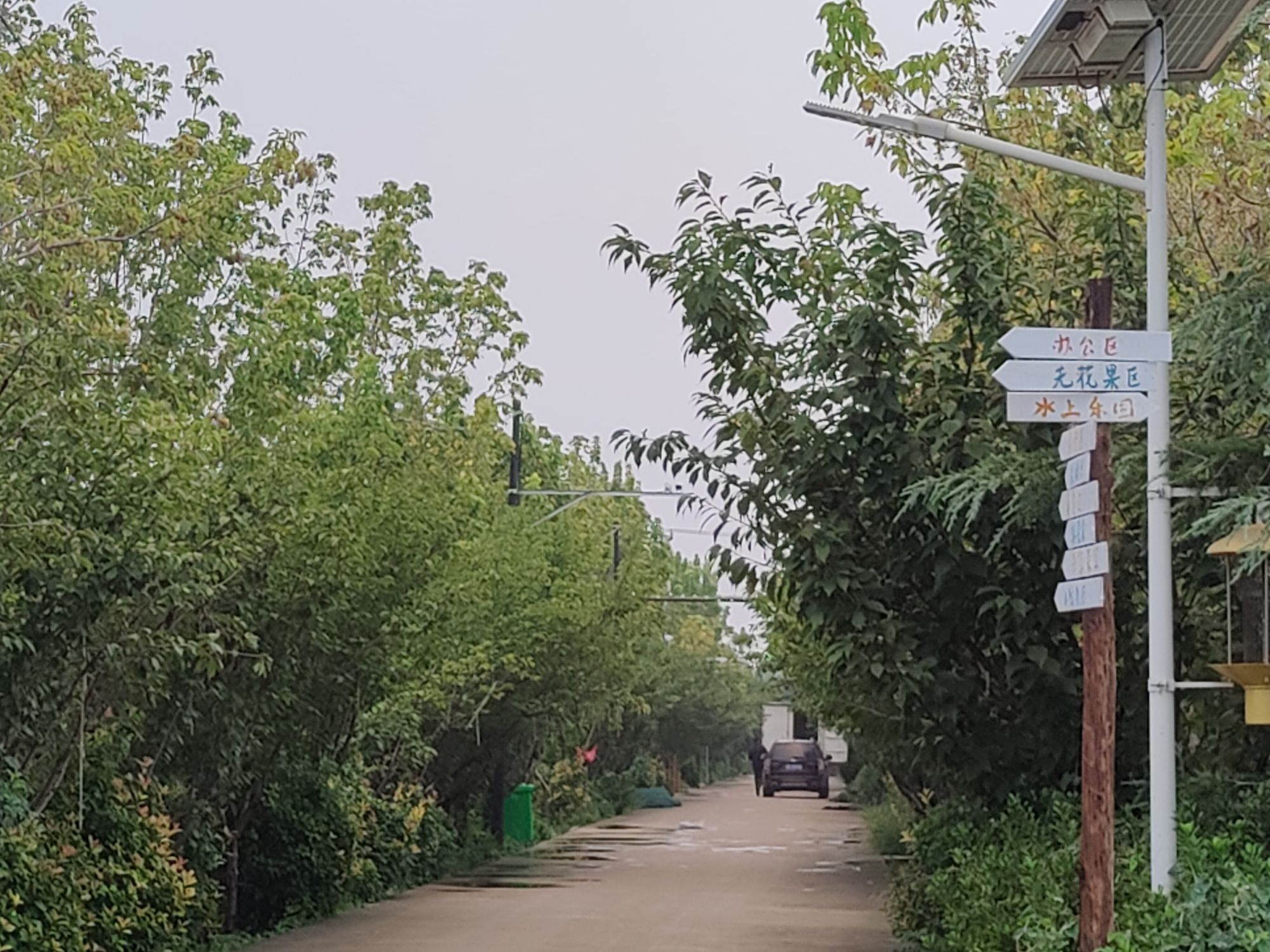 夏都植物园旅行图片 2