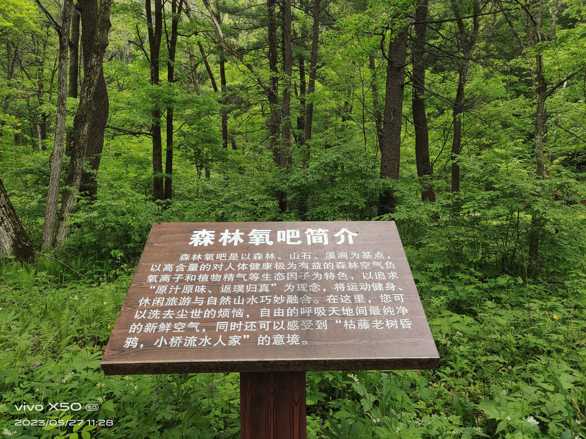 吉林红叶岭国家森林公园旅行图片 2