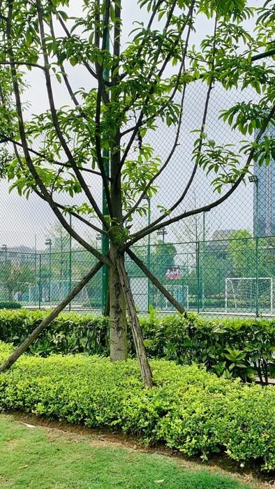 观山湖区双拥公园旅行图片 2