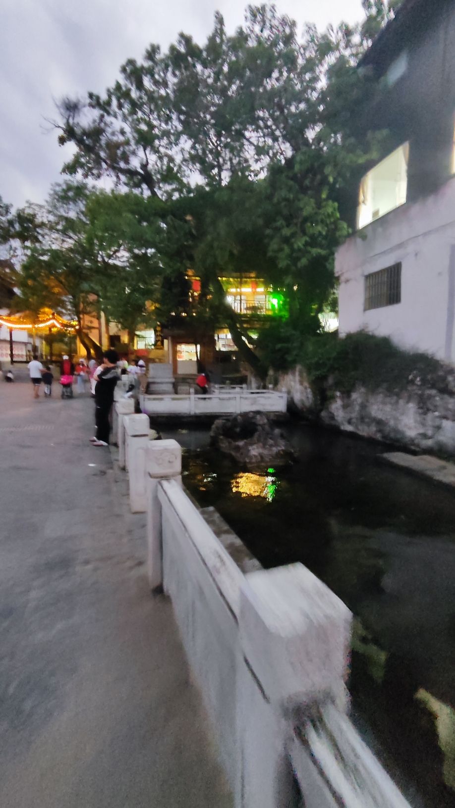 龙井布依寨AAA景区旅行图片 2