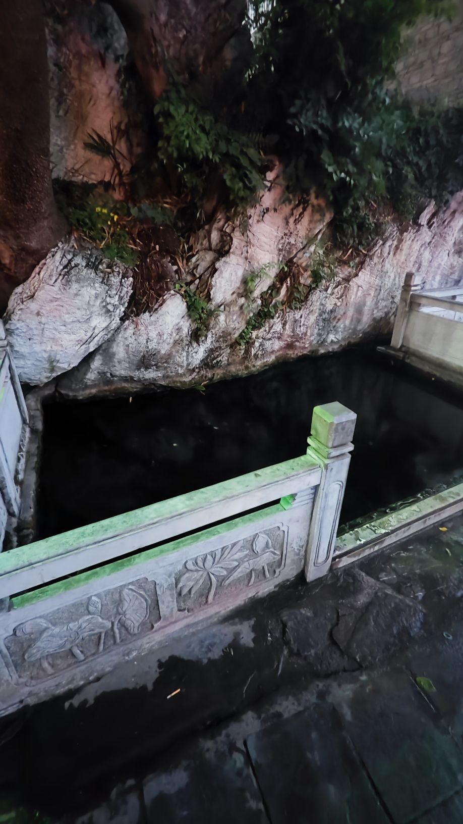 龙井布依寨AAA景区旅行图片 3