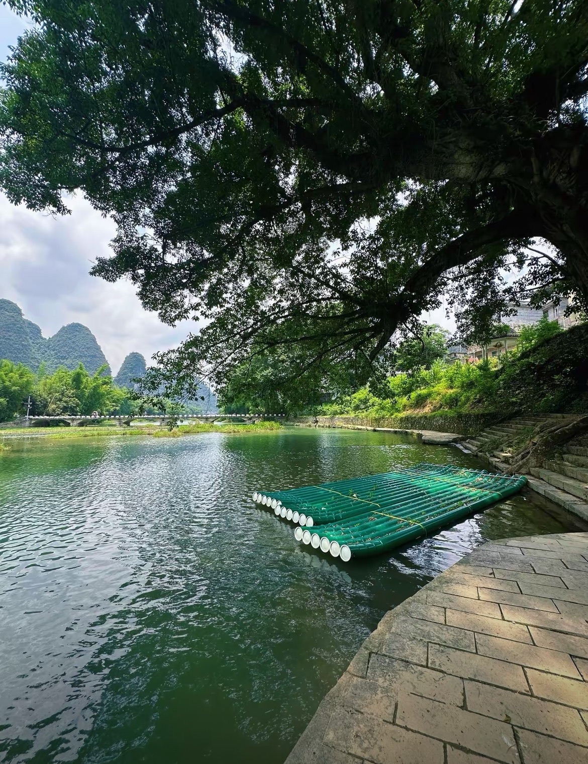 剑江古榕旅行图片 1