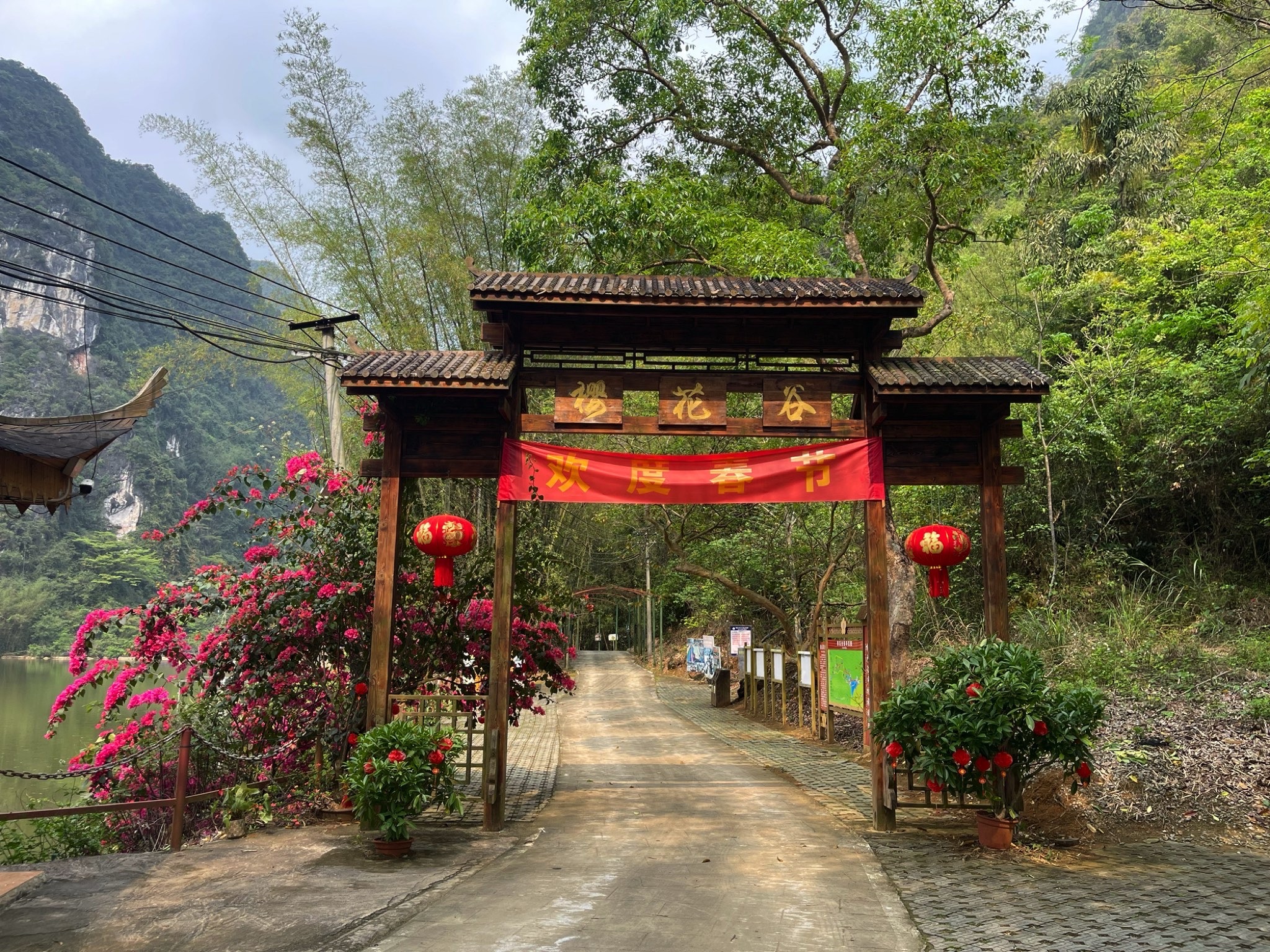 樱花谷生态旅游中心旅行图片 1