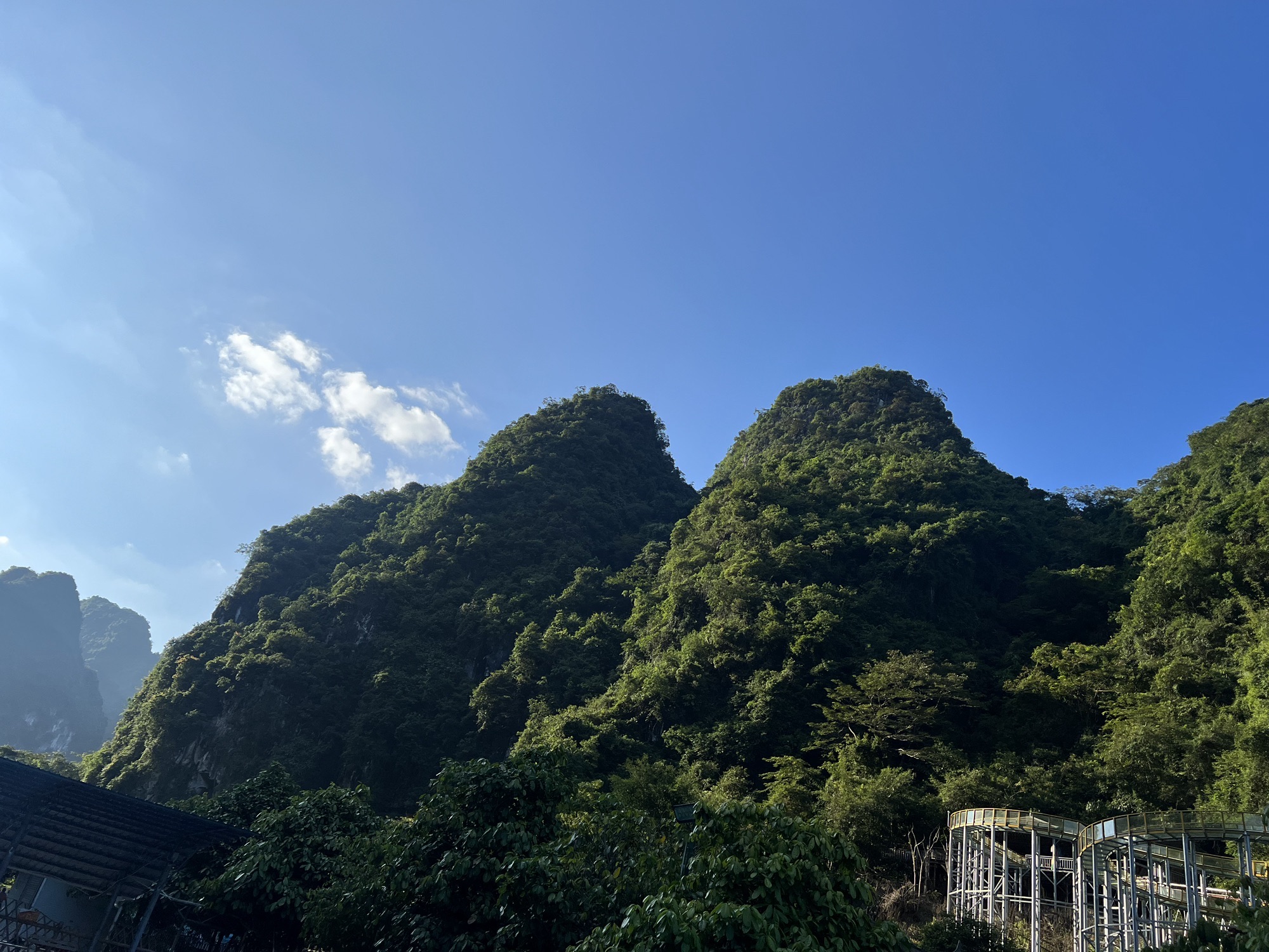 樱花谷生态旅游中心旅行图片 2