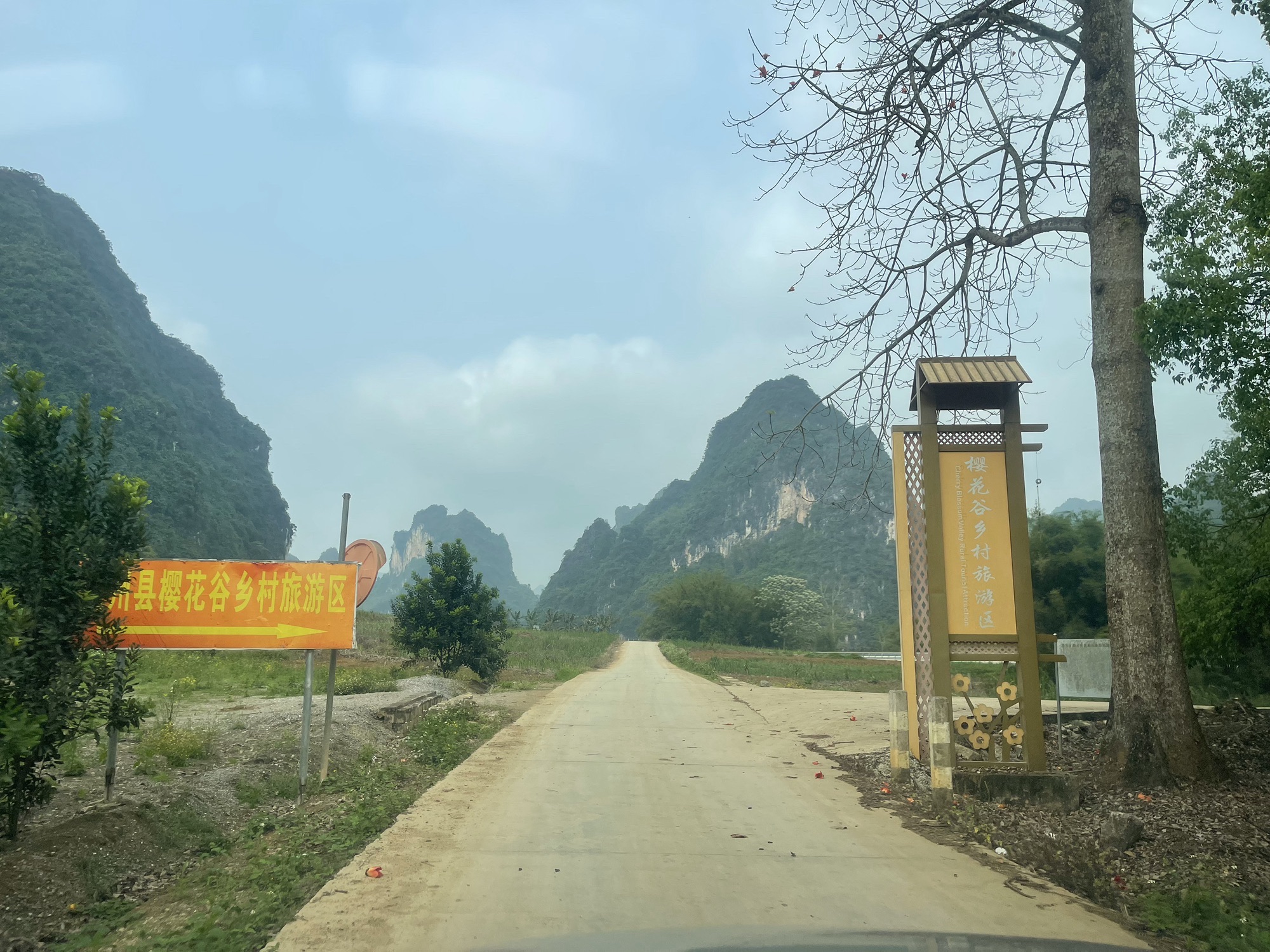 樱花谷生态旅游中心旅行图片 2