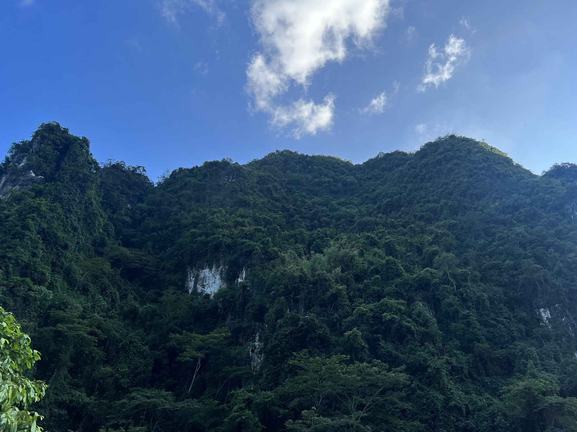 樱花谷生态旅游中心旅行图片 3