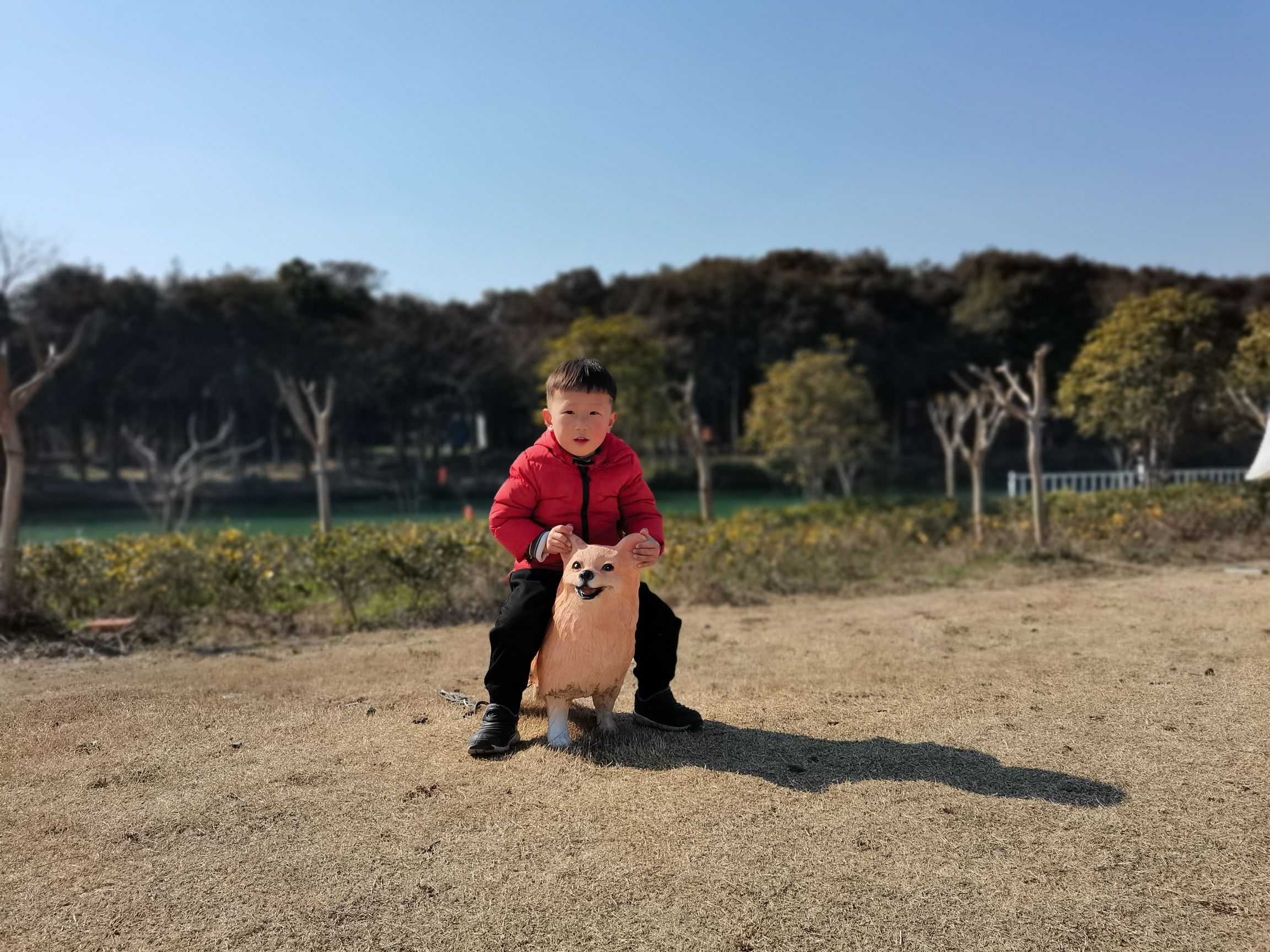 红豆迪士旎大世界旅行图片 3