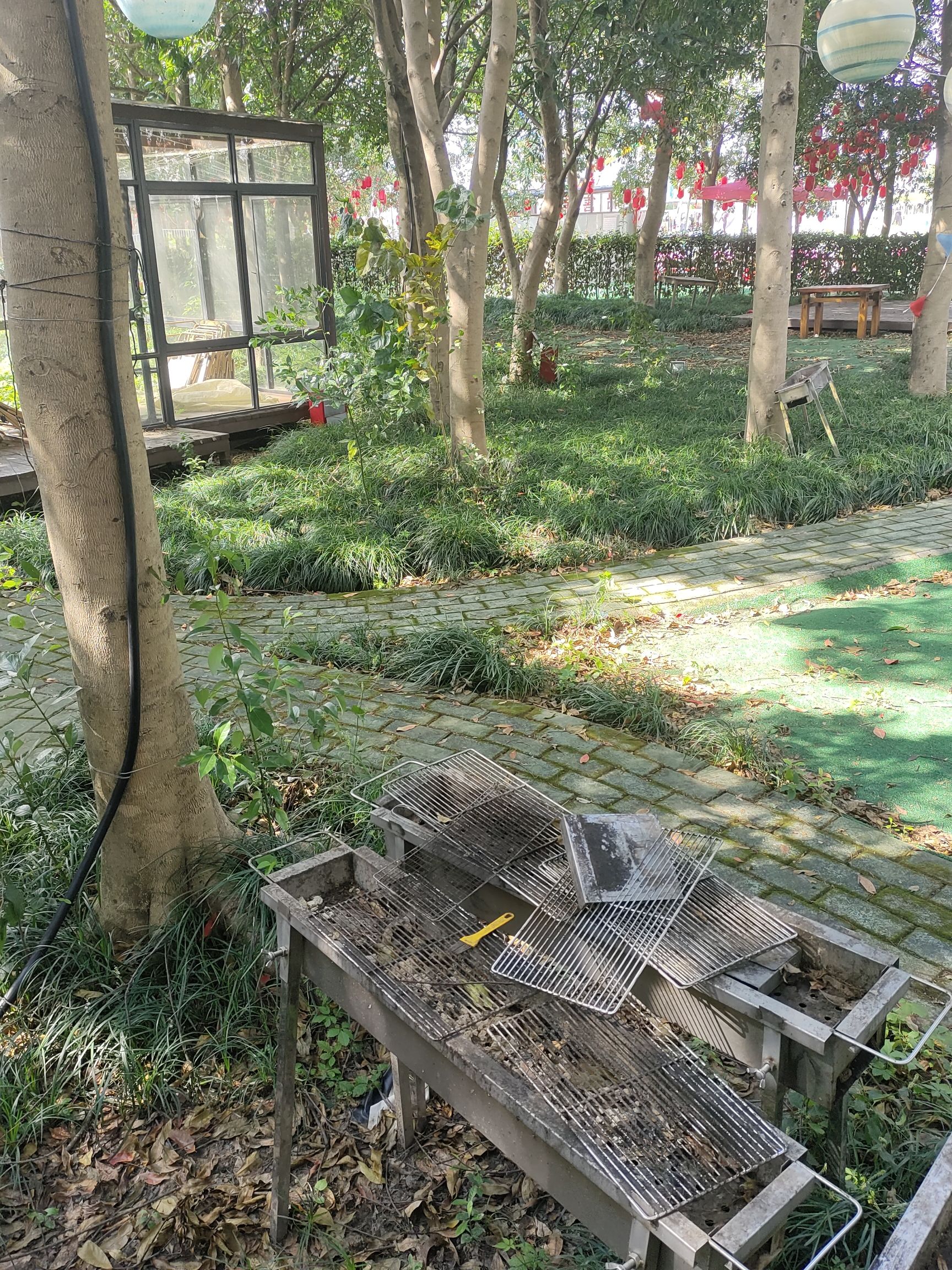 红豆迪士旎大世界旅行图片 1