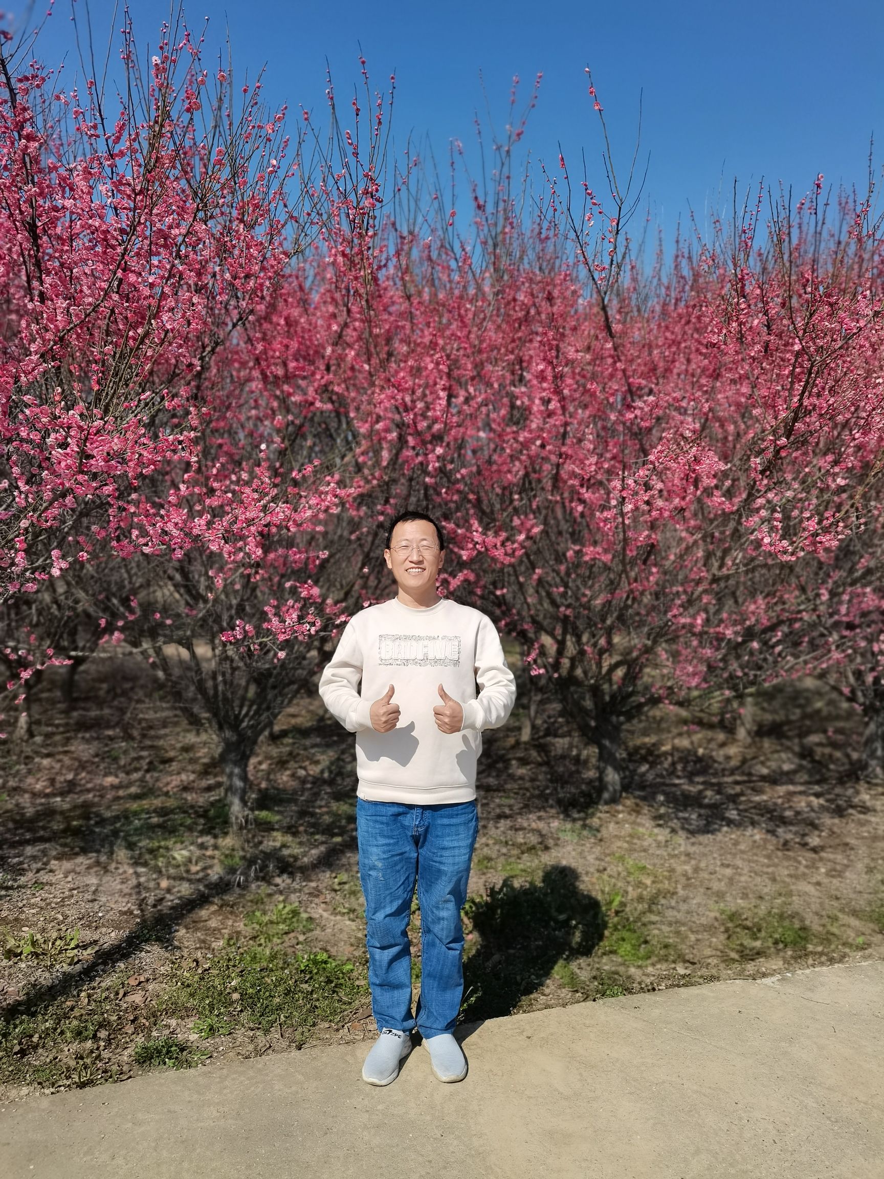红豆迪士旎大世界旅行图片 2