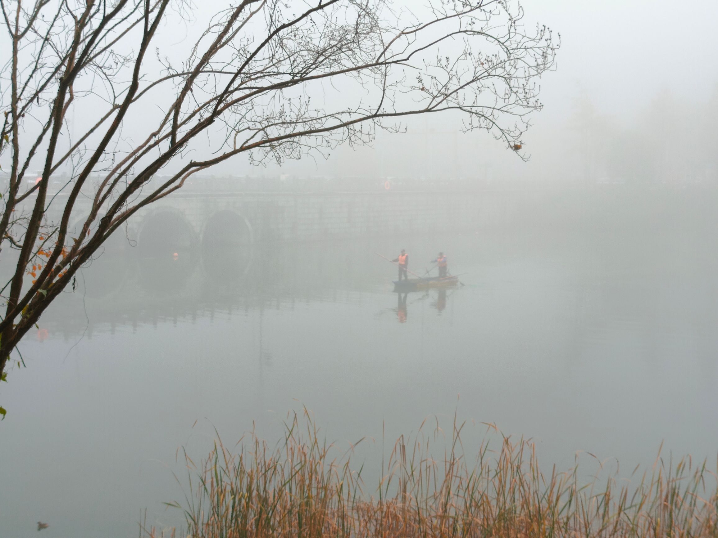 白鹭湖湿地公园旅行图片 1