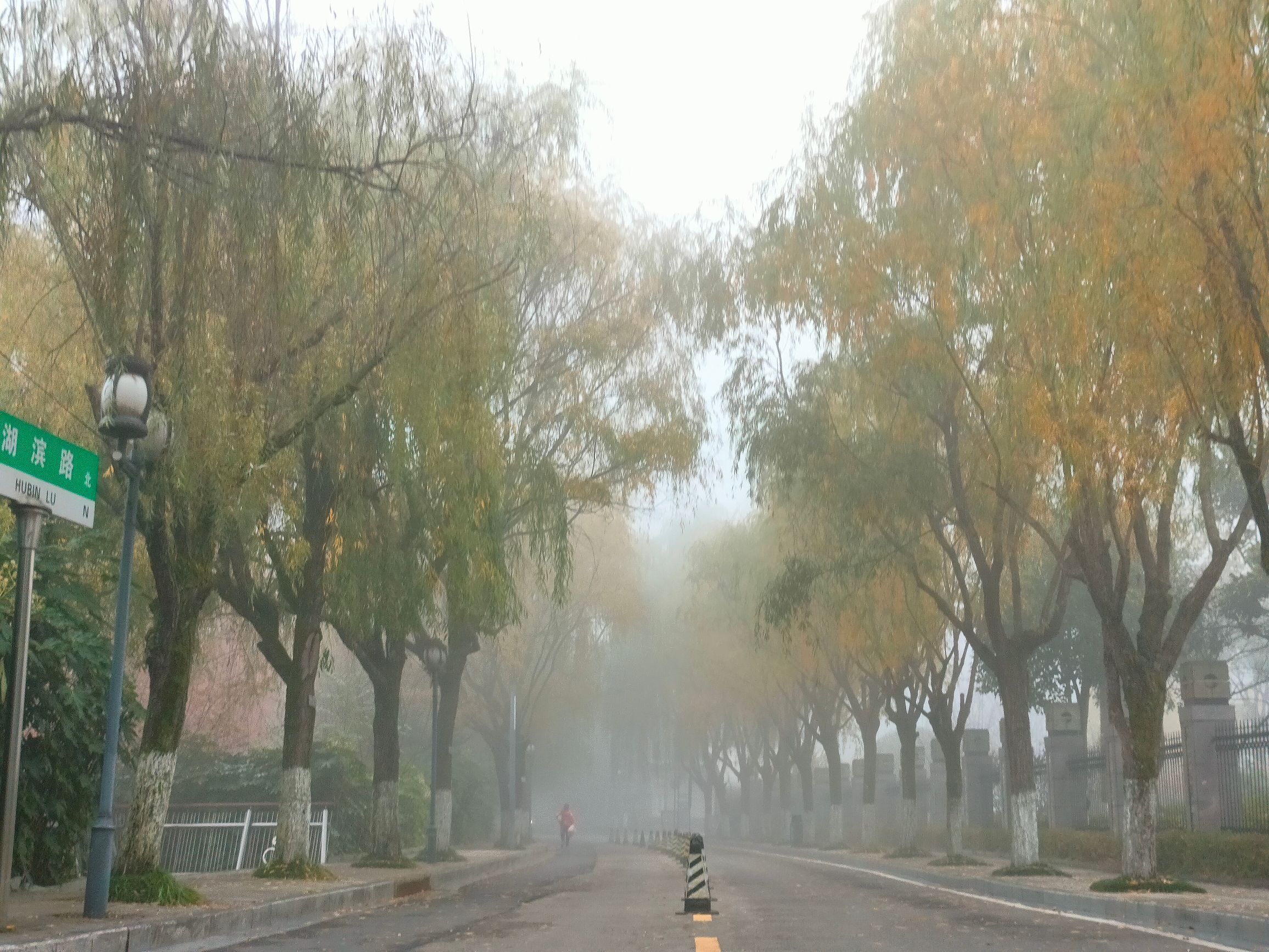 白鹭湖湿地公园旅行图片 3
