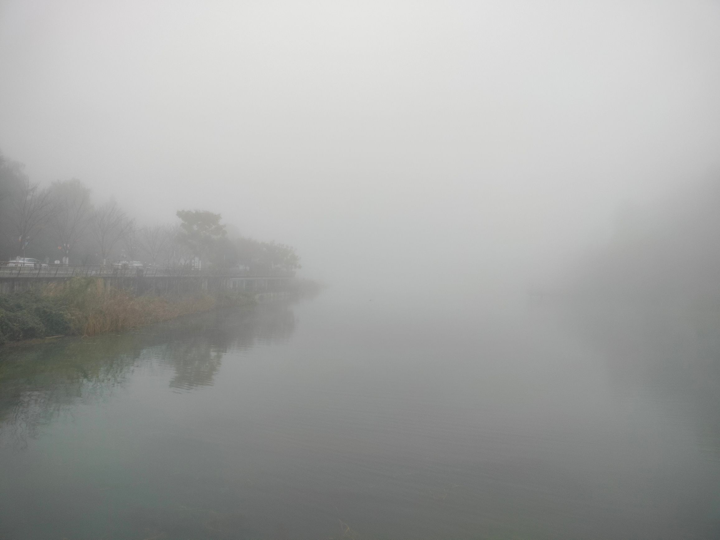 白鹭湖湿地公园旅行图片 2