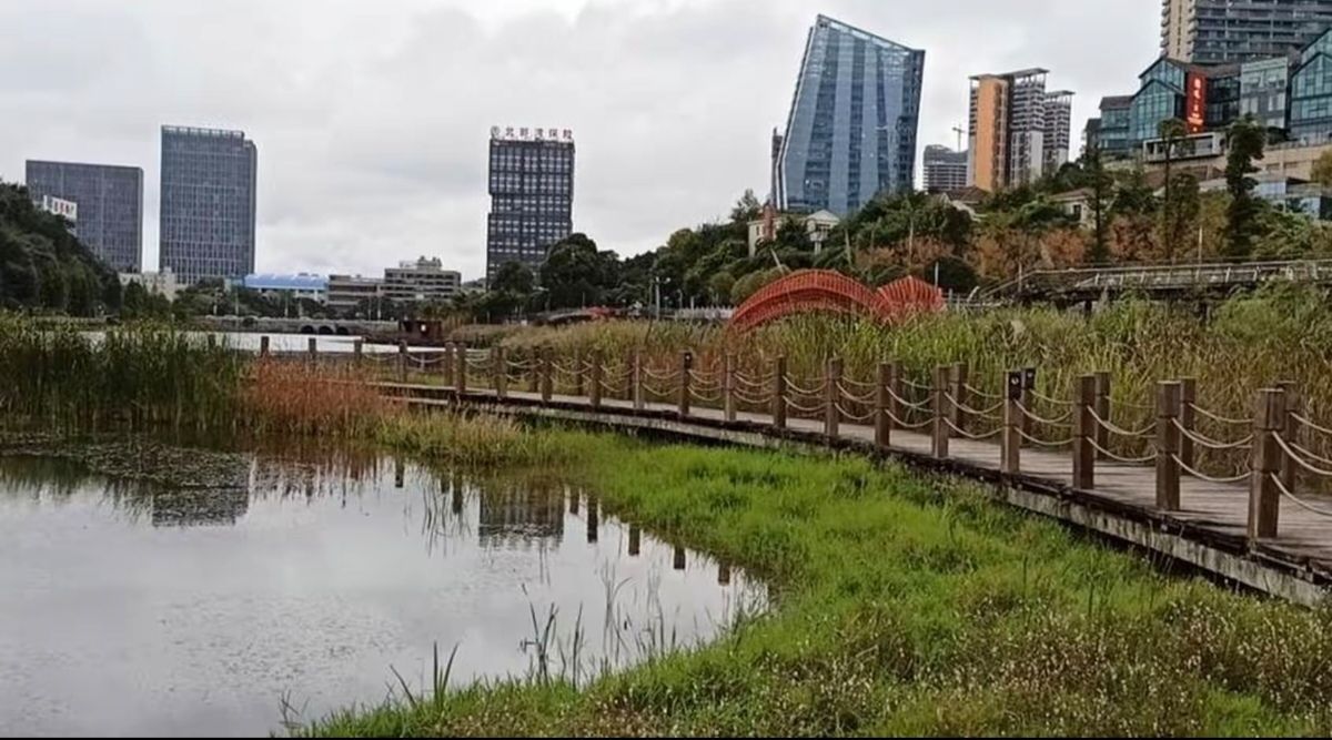 白鹭湖湿地公园旅行图片 3