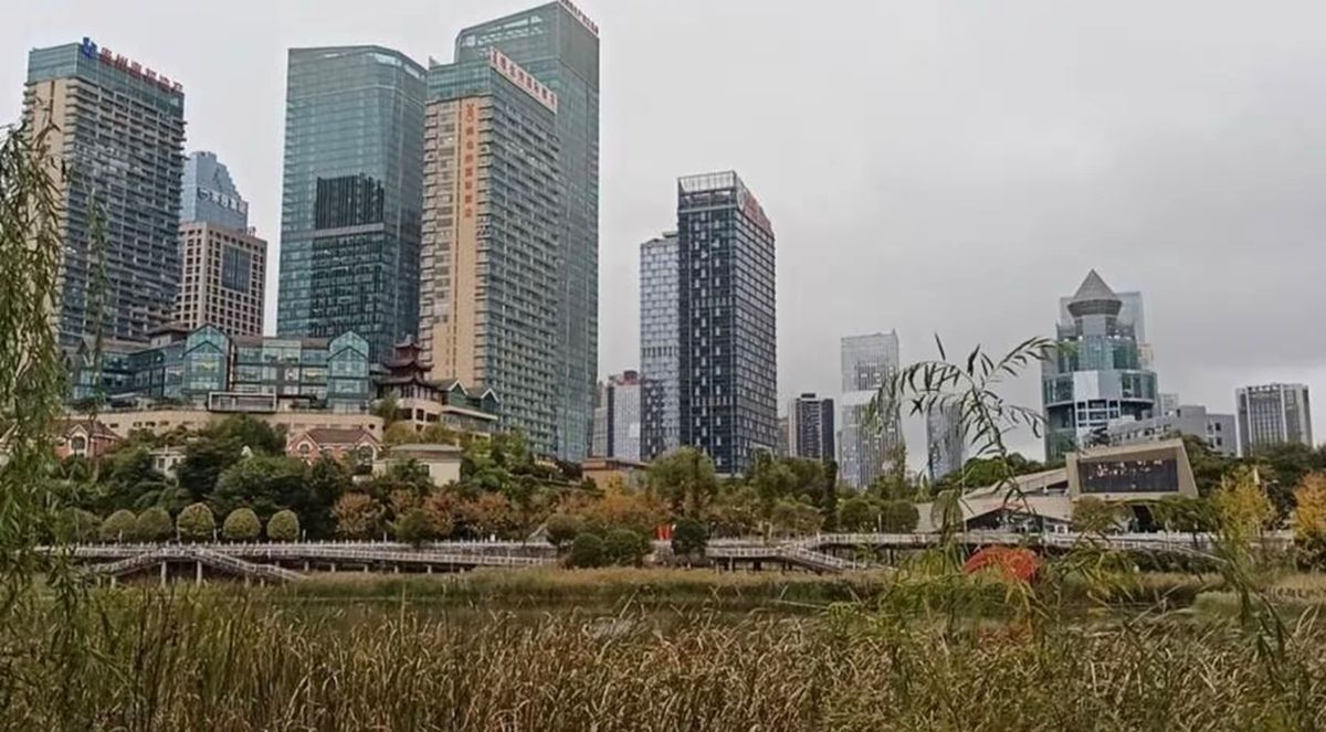 白鹭湖湿地公园旅行图片 1