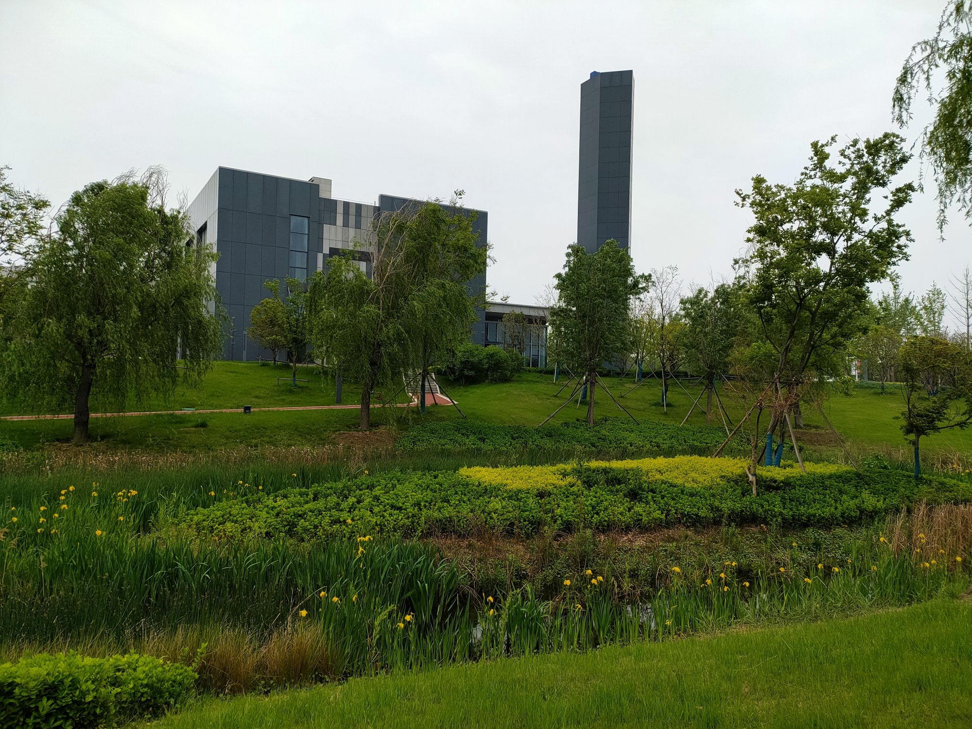 长葛乐舞公园旅行图片 2