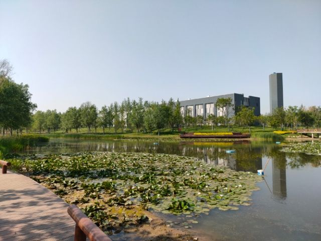长葛乐舞公园旅行图片 1