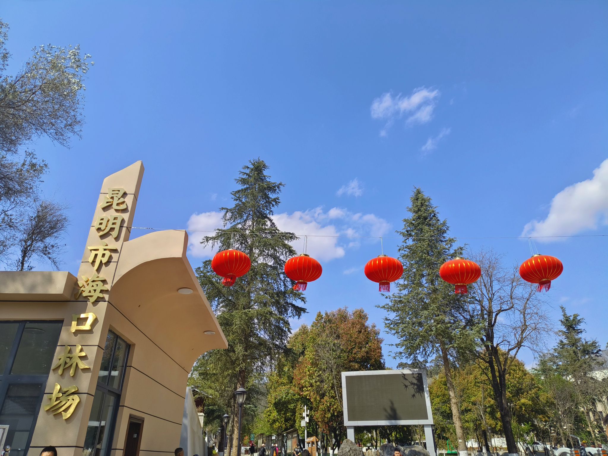 昆明市海口林场森林公园
