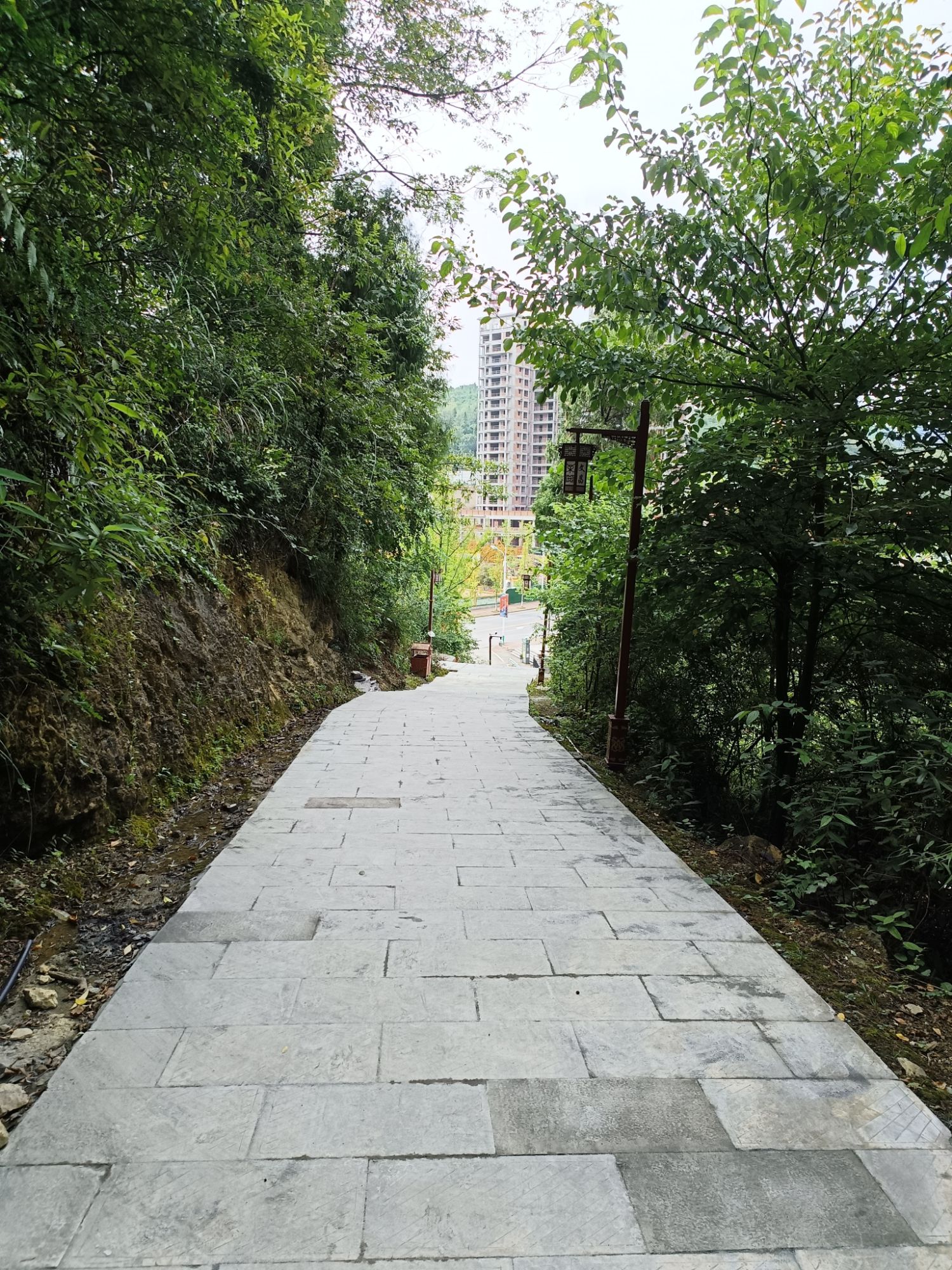 文昌公园旅行图片 2