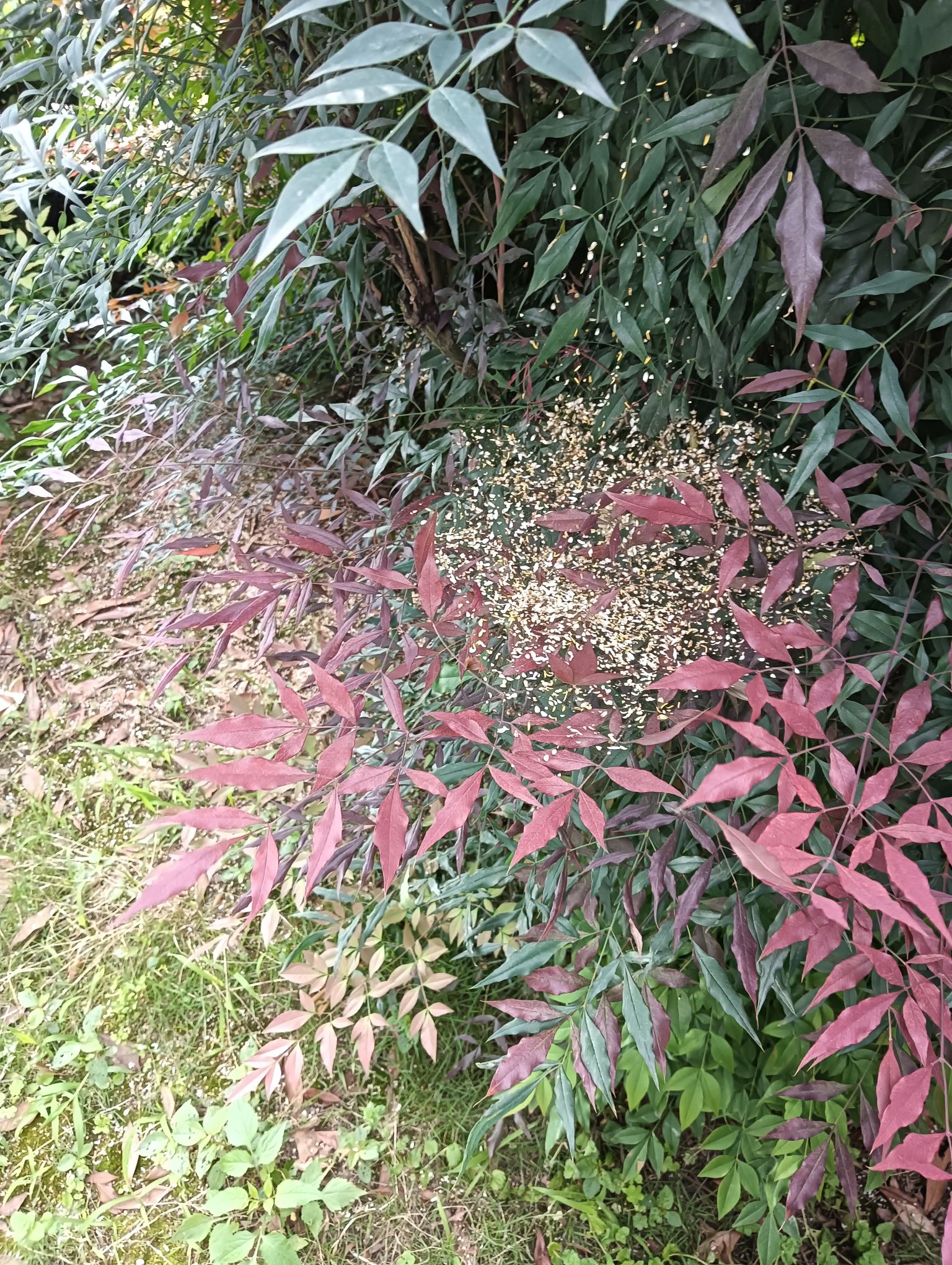 文昌公园旅行图片 2