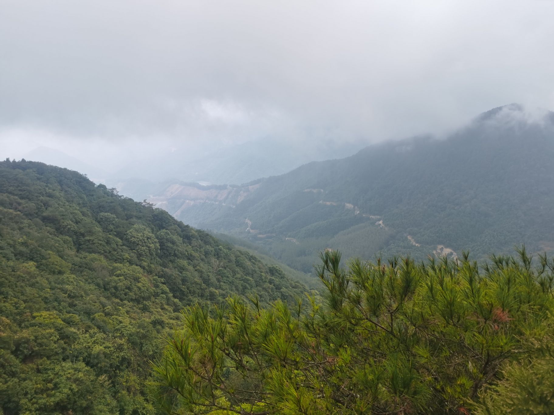 广西六万大山森林公园-观景台旅行图片 3