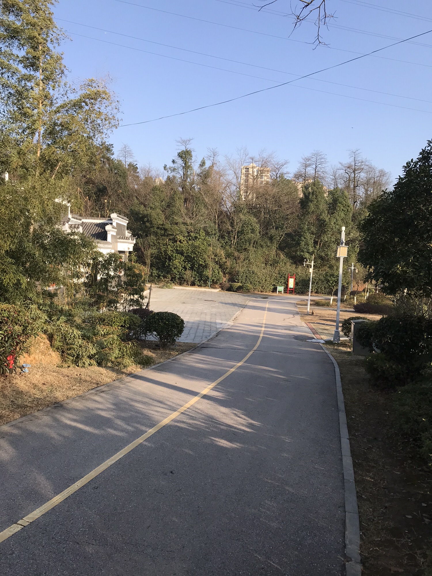 珍珠山公园旅行图片 2