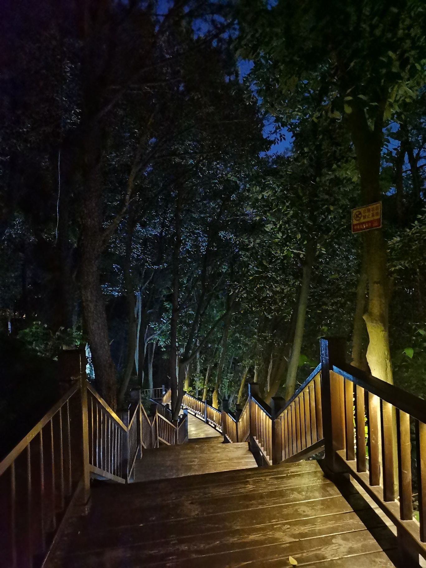 珍珠山公园旅行图片 2