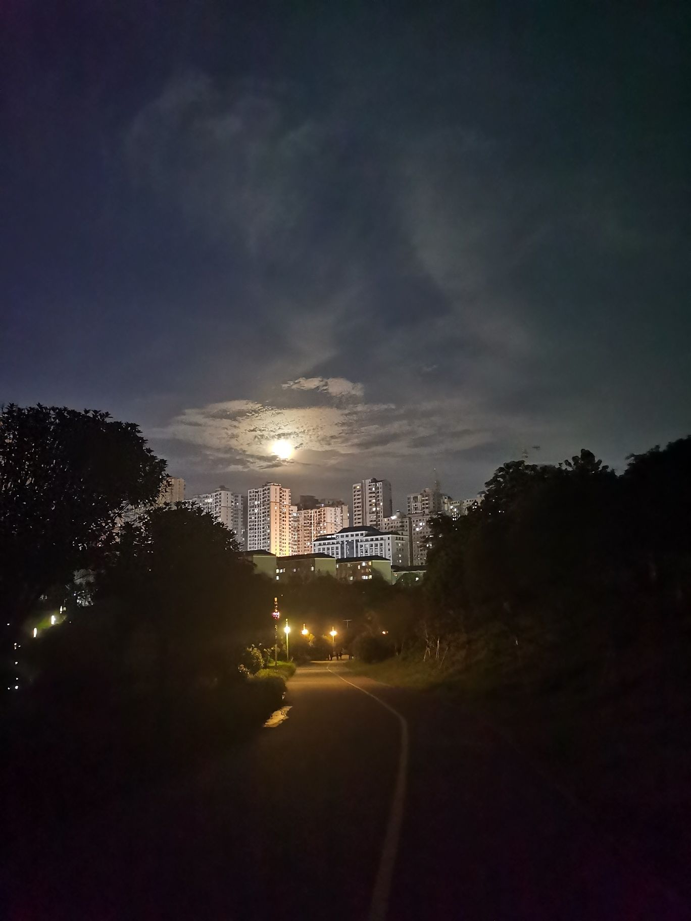 珍珠山公园旅行图片 3