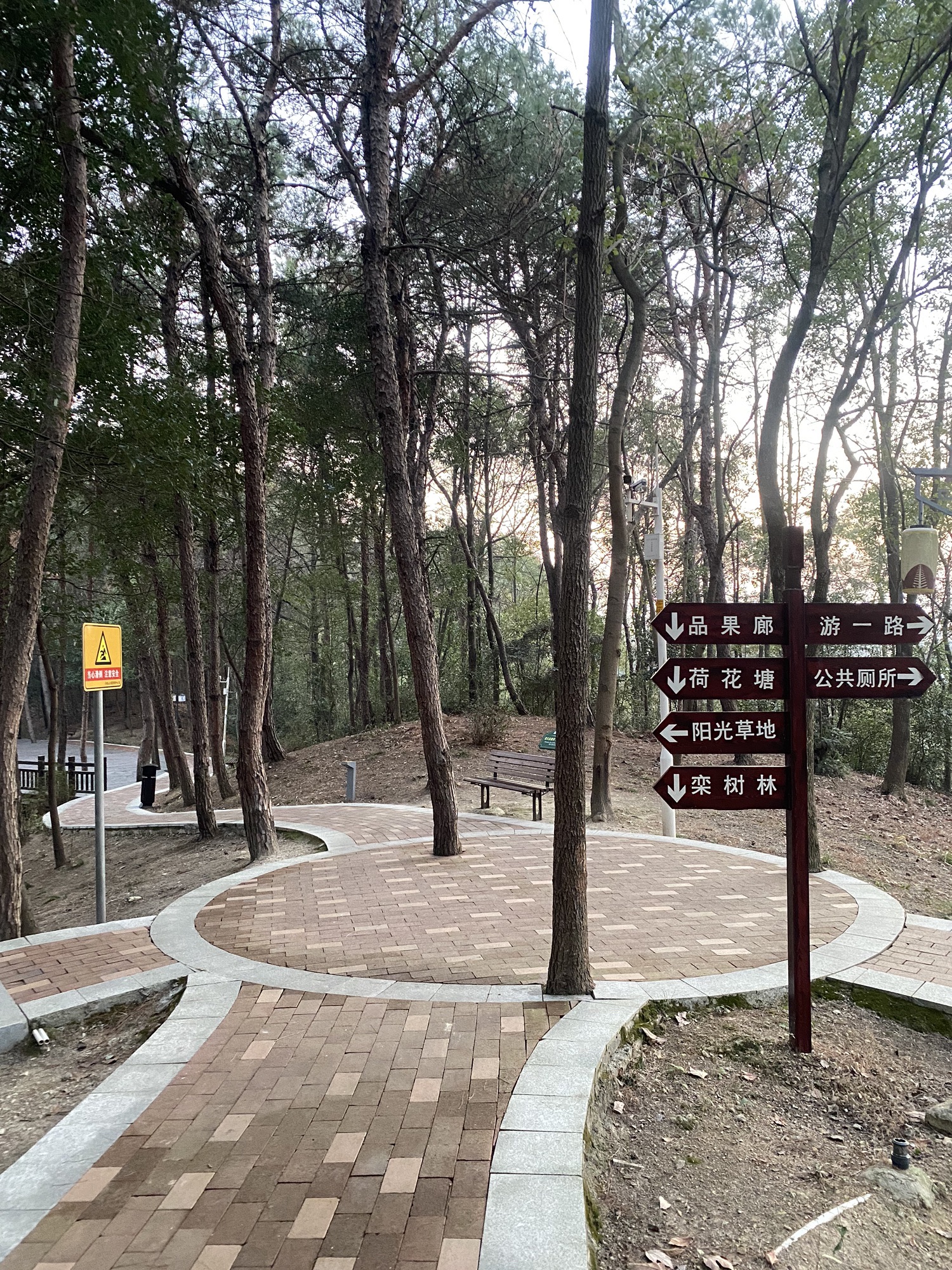 珍珠山公园旅行图片 3