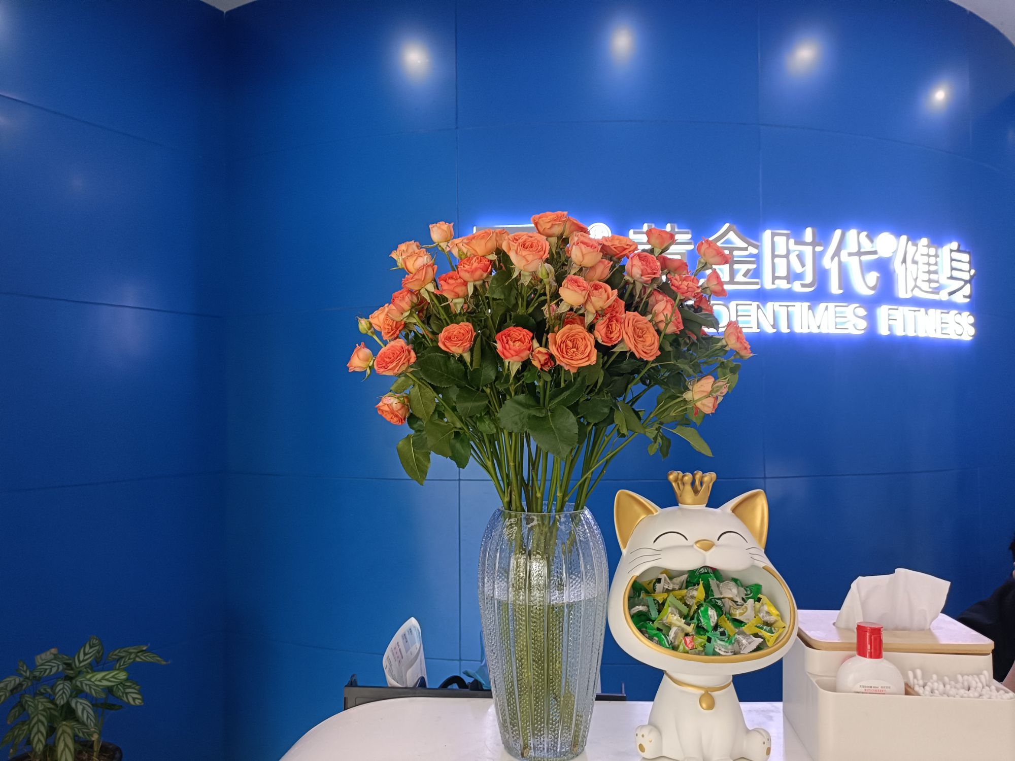 黄金时代健身(洛阳东宇大厦店)