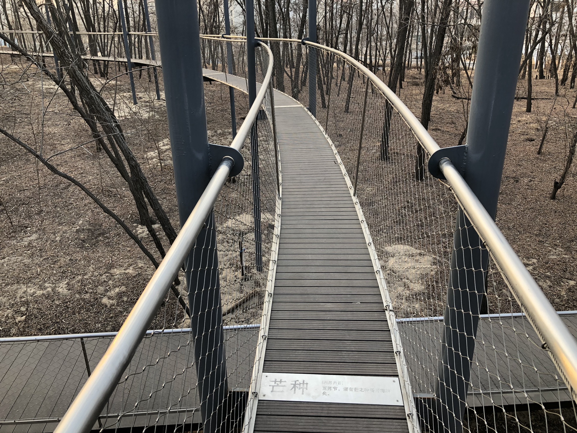木桩探险旅行图片 2