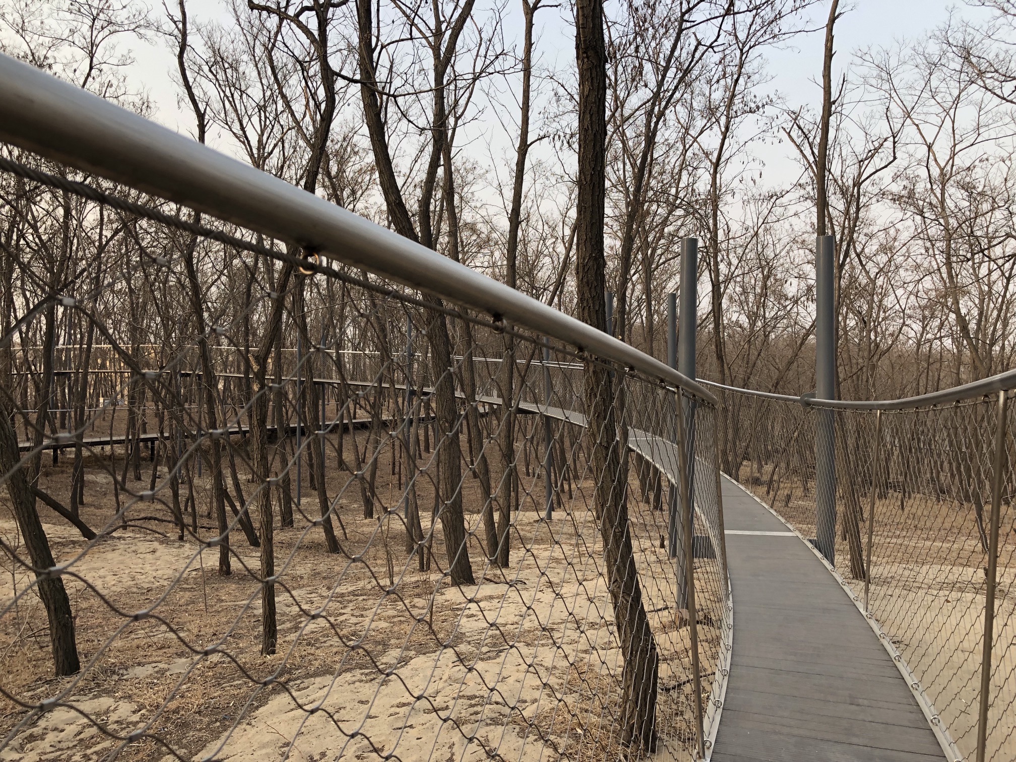 木桩探险旅行图片 3