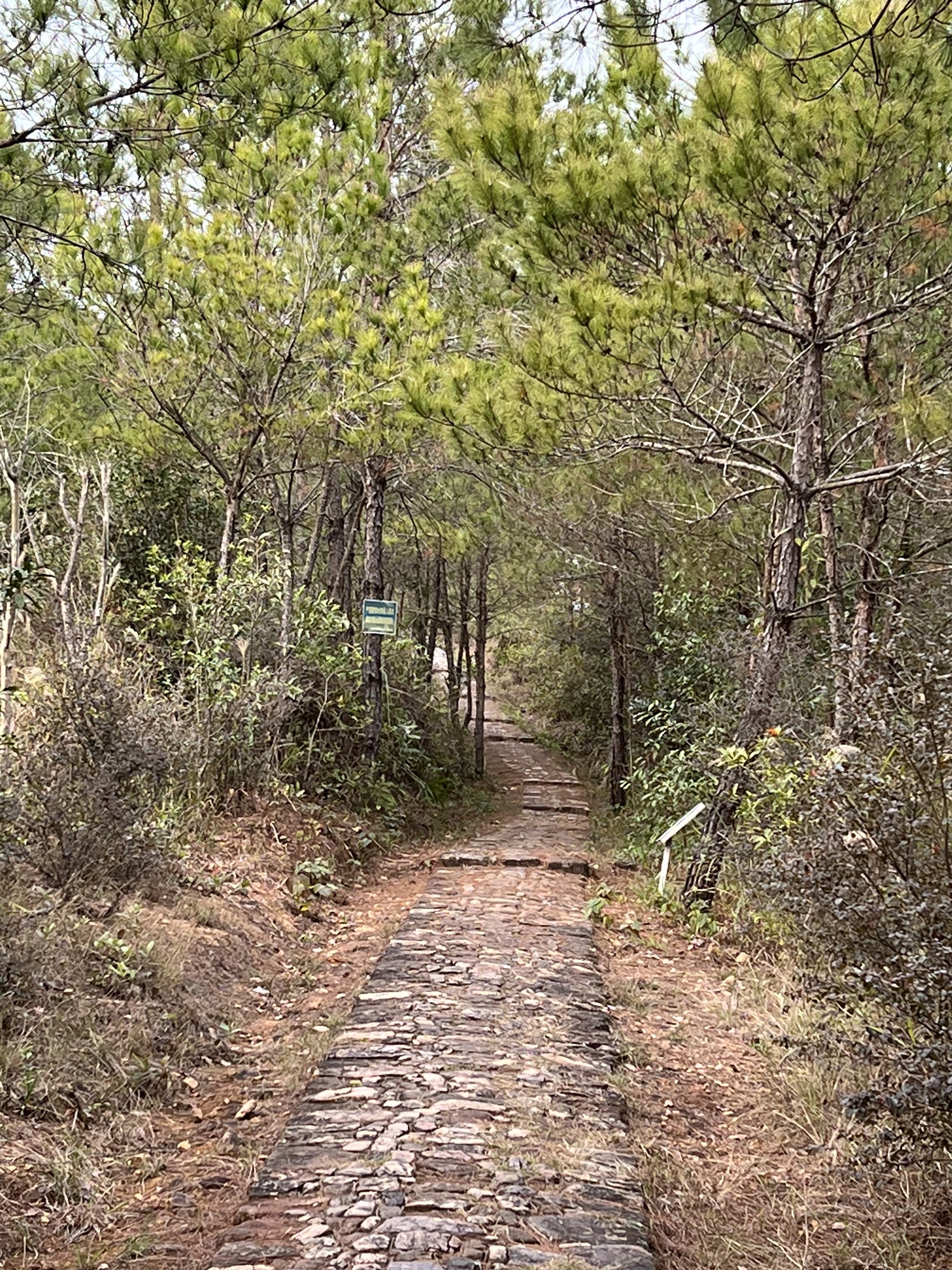 关爷埂古驿道旅行图片 2
