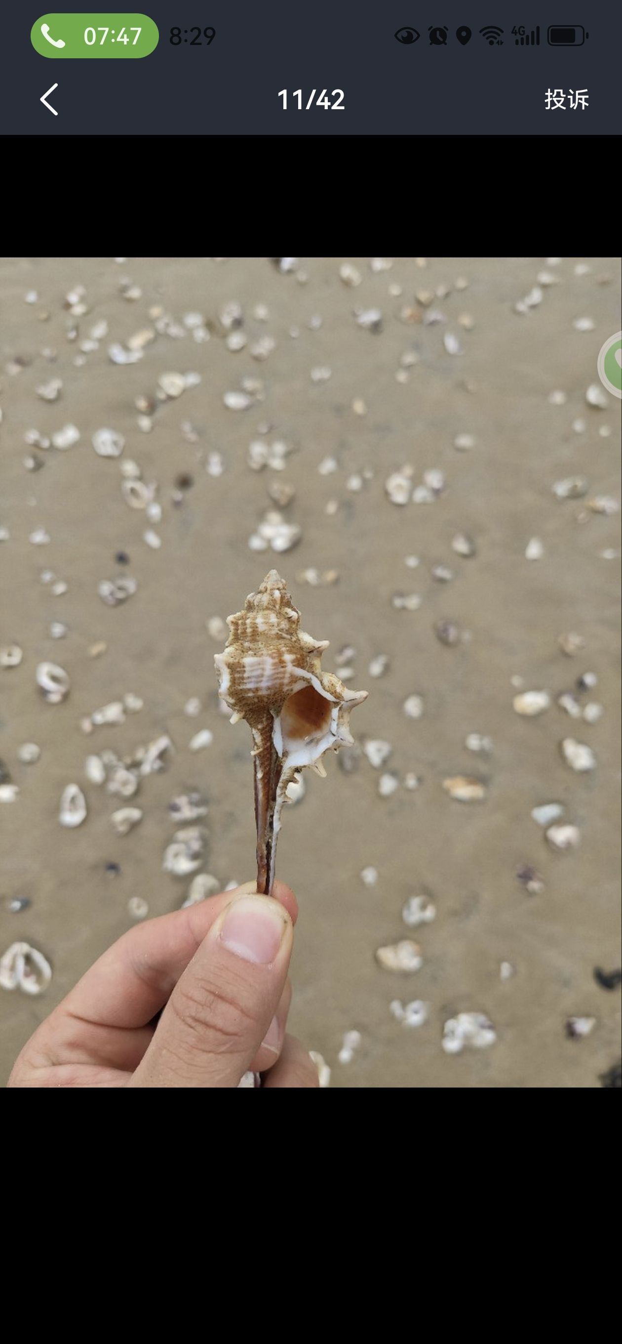 小岞林场沙滩旅行图片 1