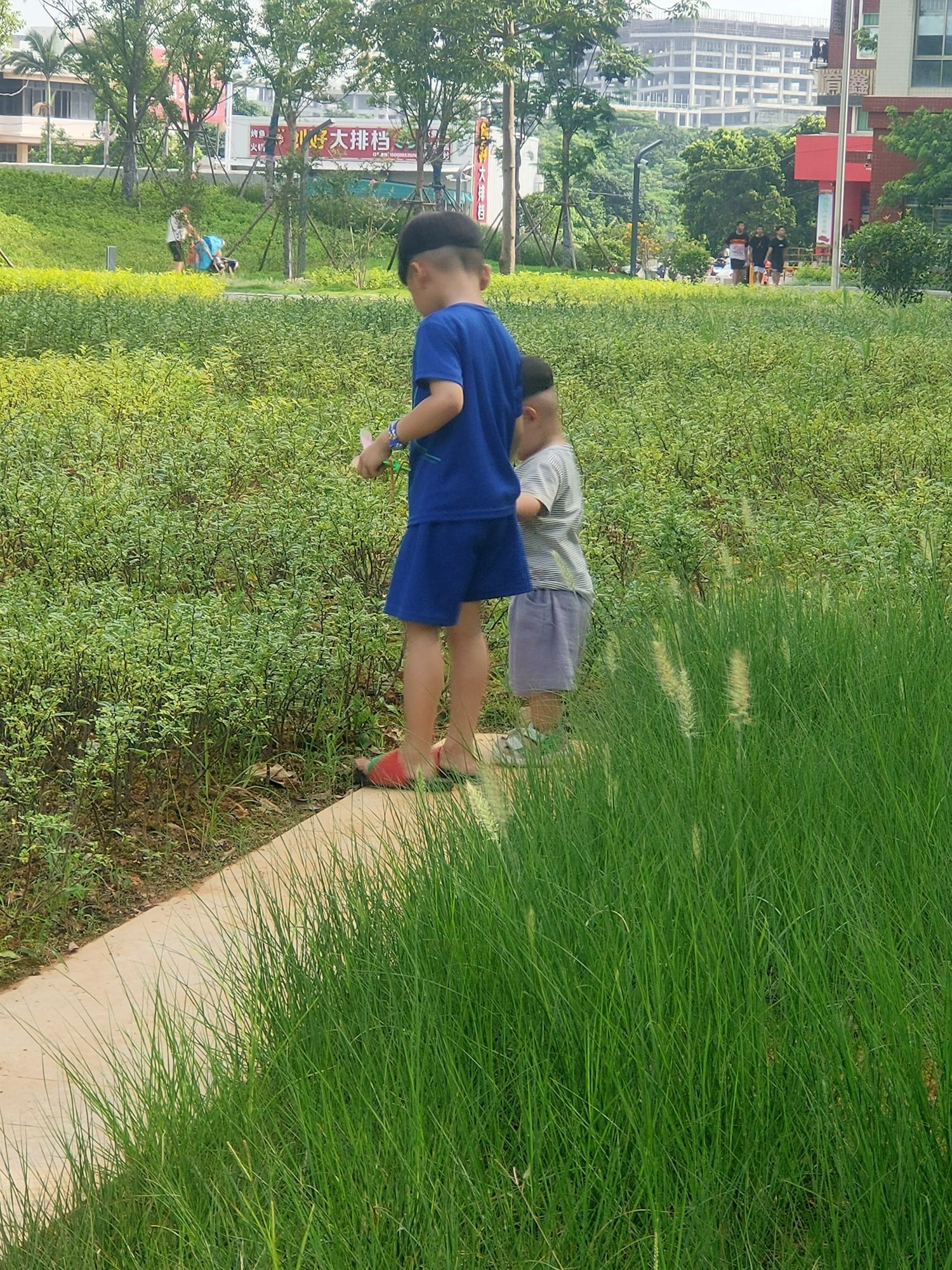小岞林场沙滩旅行图片 1