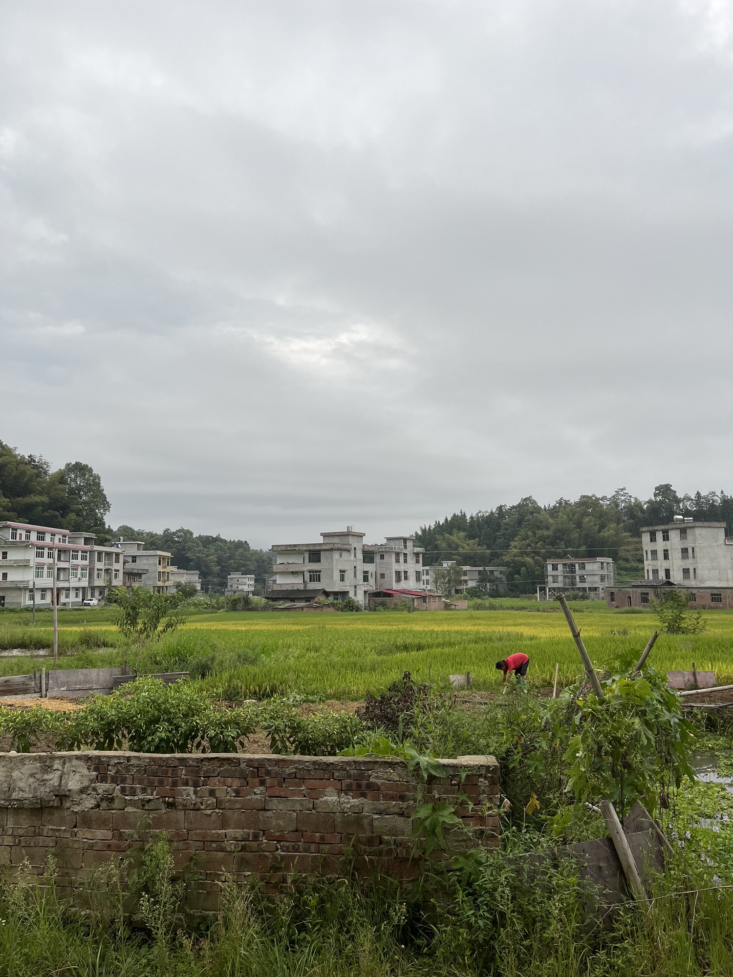 十重大界旅行图片 2