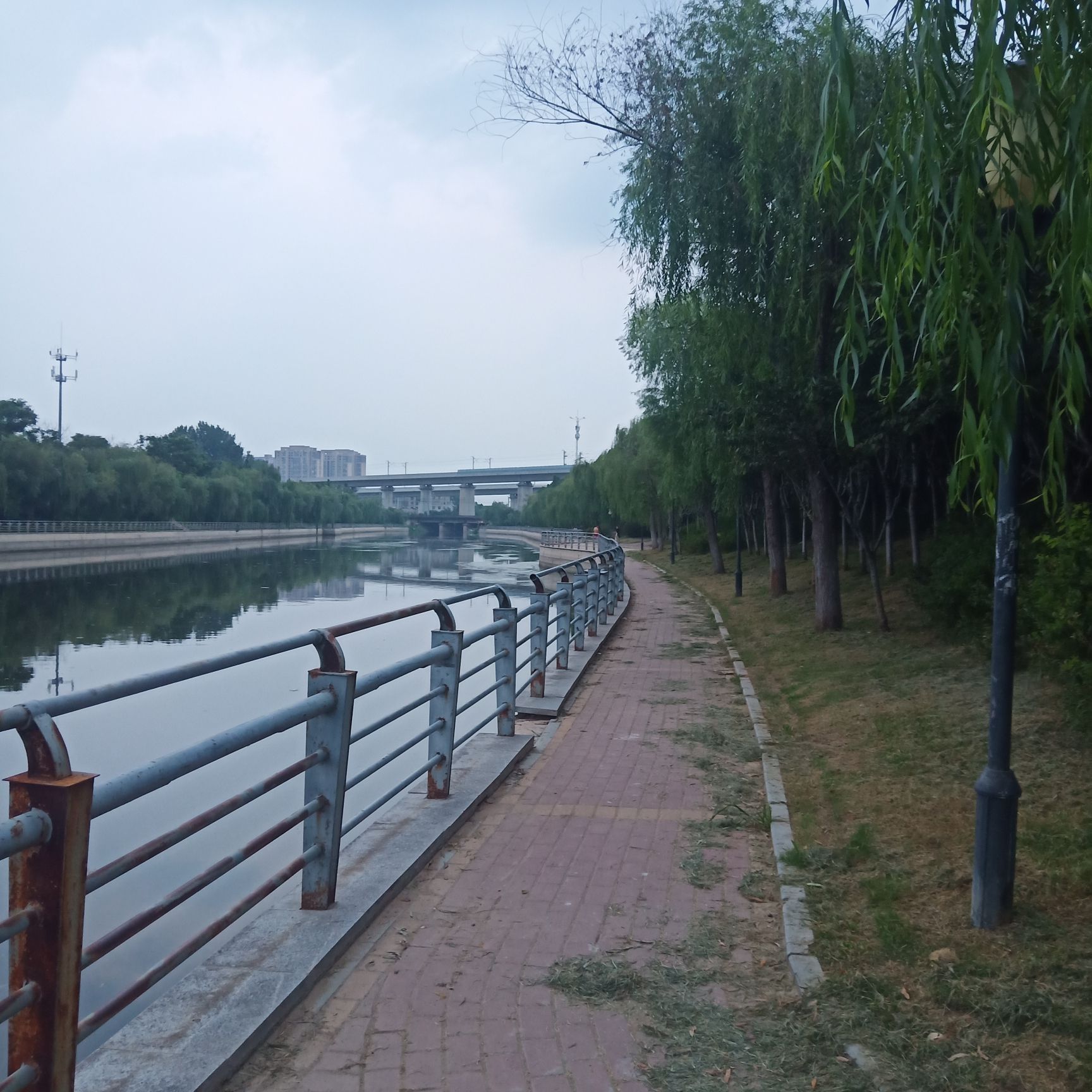 包河公园旅行图片 2